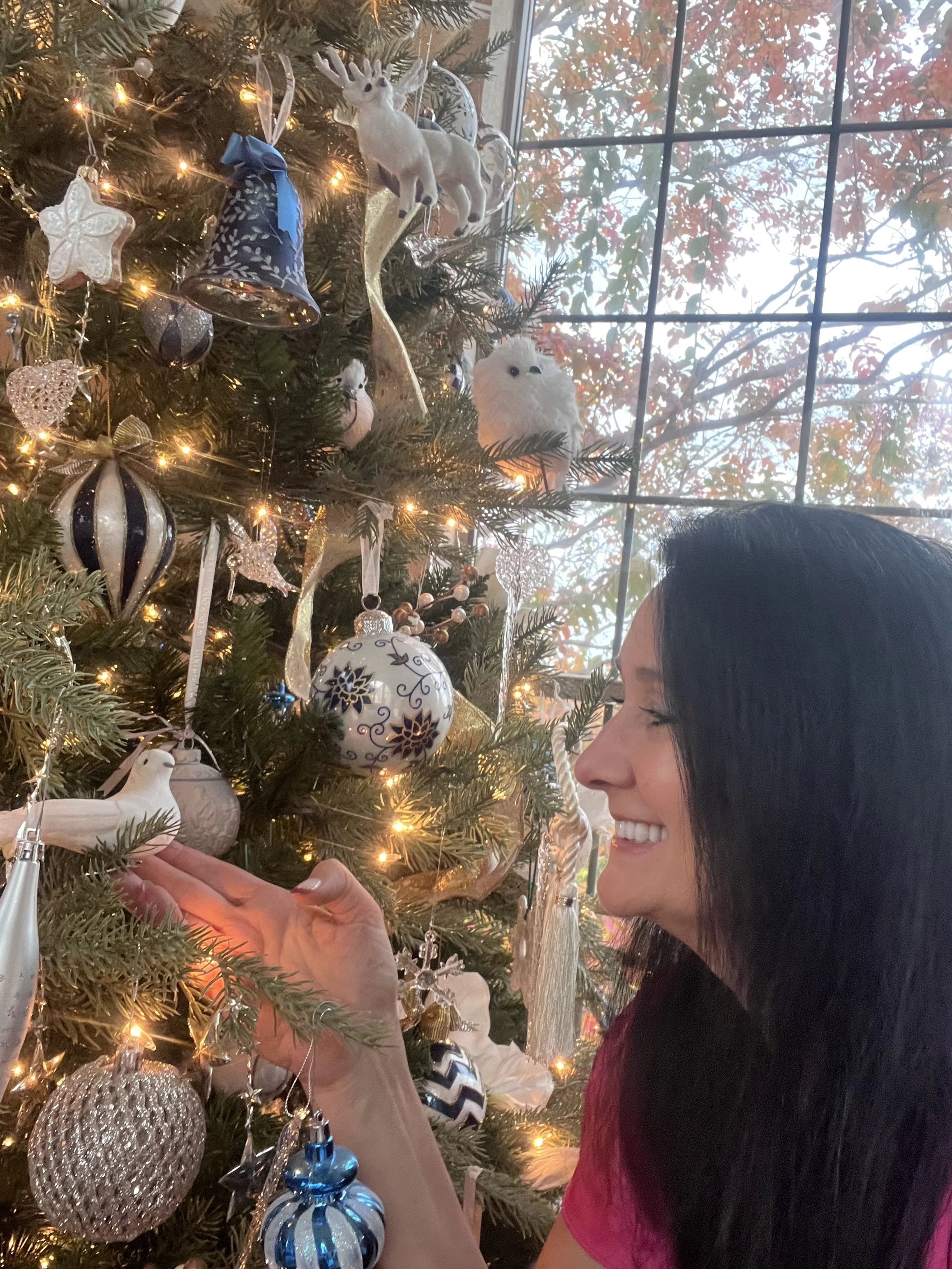 The gift that can’t be put under a tree