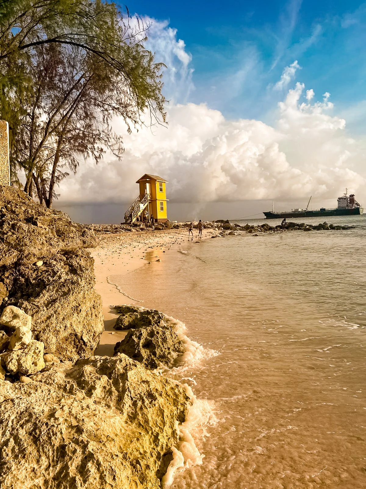 From Fish to Folklore: An Oistins Heritage Experience