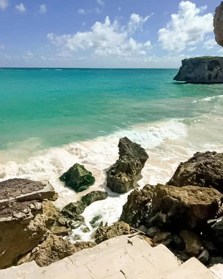 Relax, we&rsquo;ve got you covered. Do Barbados the easy way 🏖️ Book a tour today - Link in the Bio
#fjexperience #experiencebarbados #tourwithus