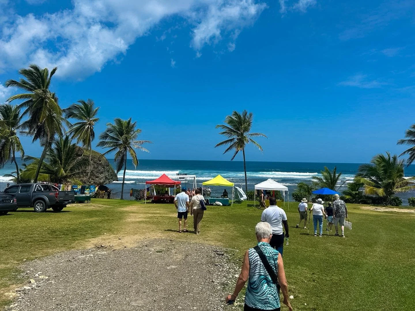 See more of the island this year.
Our tours &amp; transfers make it easy 🏝️🚌 #ExperienceBarbados #VisitBarbados #BarbadosTravel #BarbadosTransfers #IslandTransport #newyearnewyou  #newyearnewgoals #newyear2026