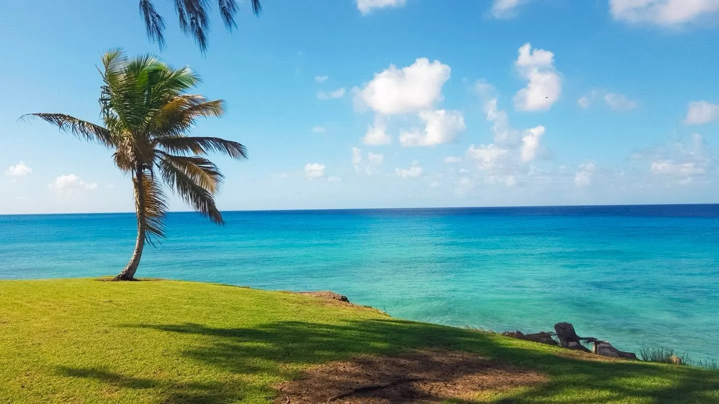 Just Barbados showing off again ✨🌊🌴Trade the cold for this color palette. Book your ride from the airport now. 

#fjexperience #IslandTransport #ExperienceBarbados #barbadostravelguide #BarbadosTransfers #BarbadosTravel #barbadosbus #airporttransfe
