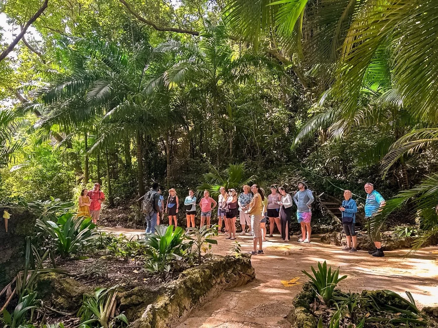 Sharing the secrets of the island, one tour at a time 🇧🇧🚌 

#VisitBarbados #BarbadosTours #IslandLife #TravelBarbados #LocalGuide  #islandtransportation #islandtransfer #islandtransport #fjexperience #Barbados #transfer #barbadostransfer #safe #ra