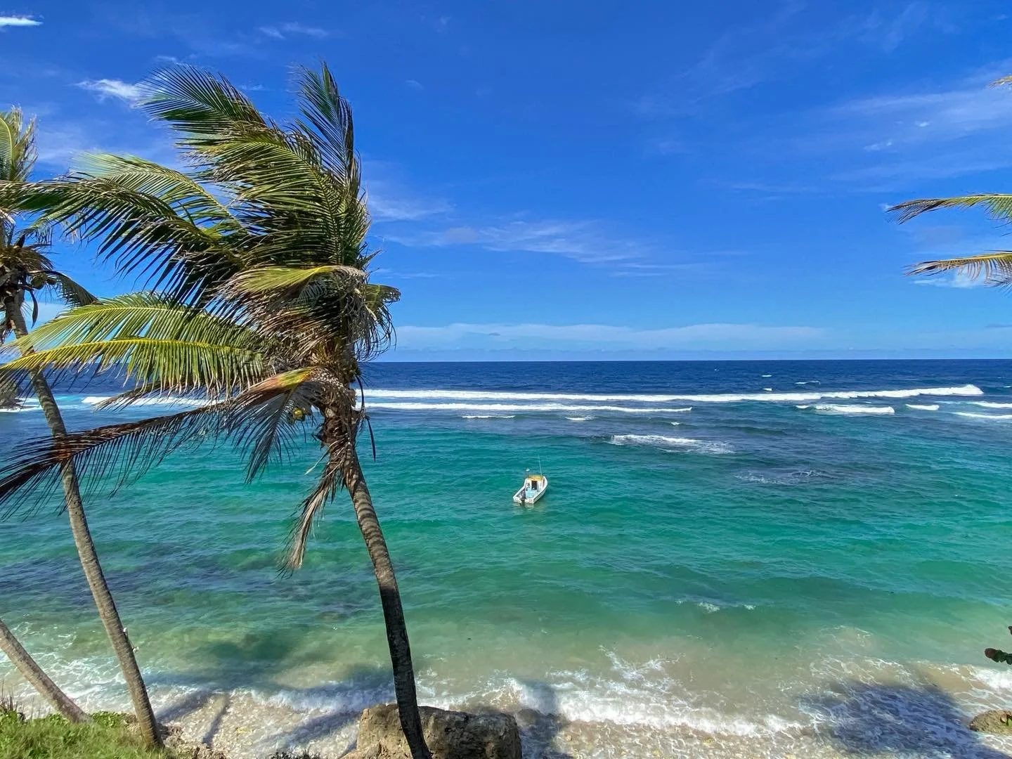 POV: It&rsquo;s Monday morning, but instead of emails, this is your view. 🌊🌴 Who needs a dose of vitamin sea right now?

#tourwithus #LocalGuide #TravelBarbados #shuttleservices #barbadosvacation #experiencebarbados #VisitBarbados #TravelDeals2026 