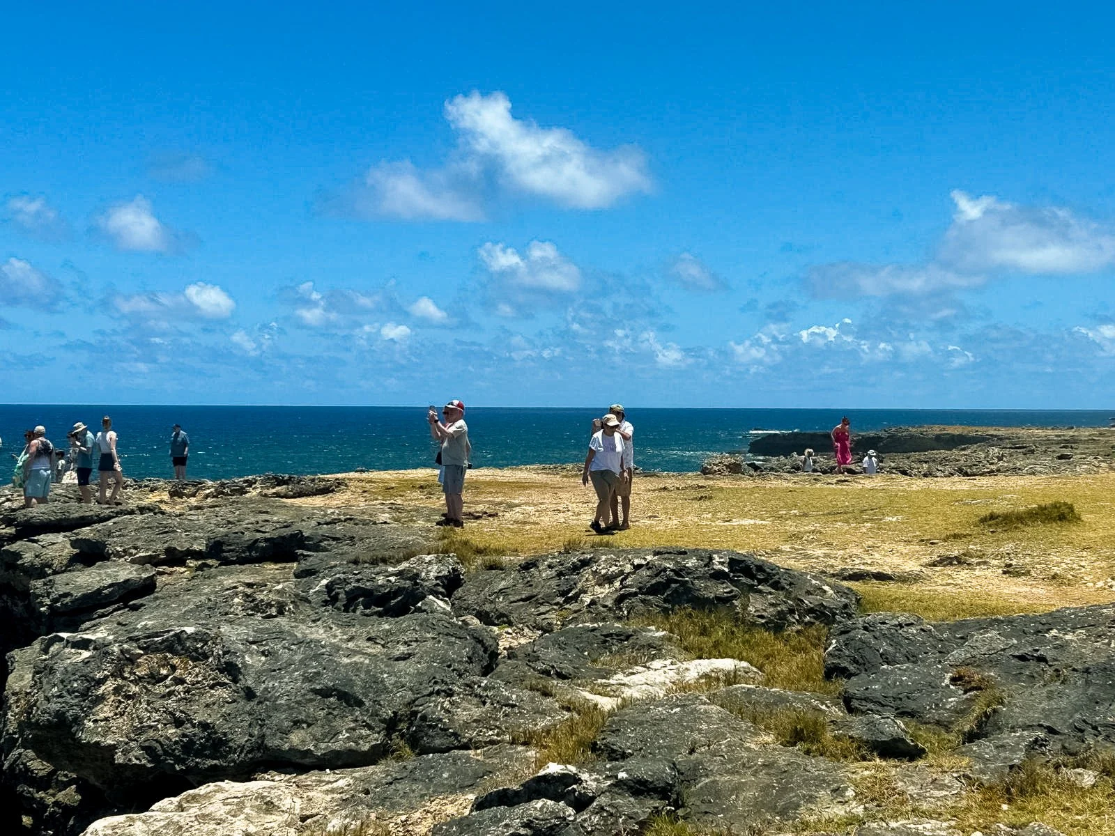 Private Transport (Personalized Tours)