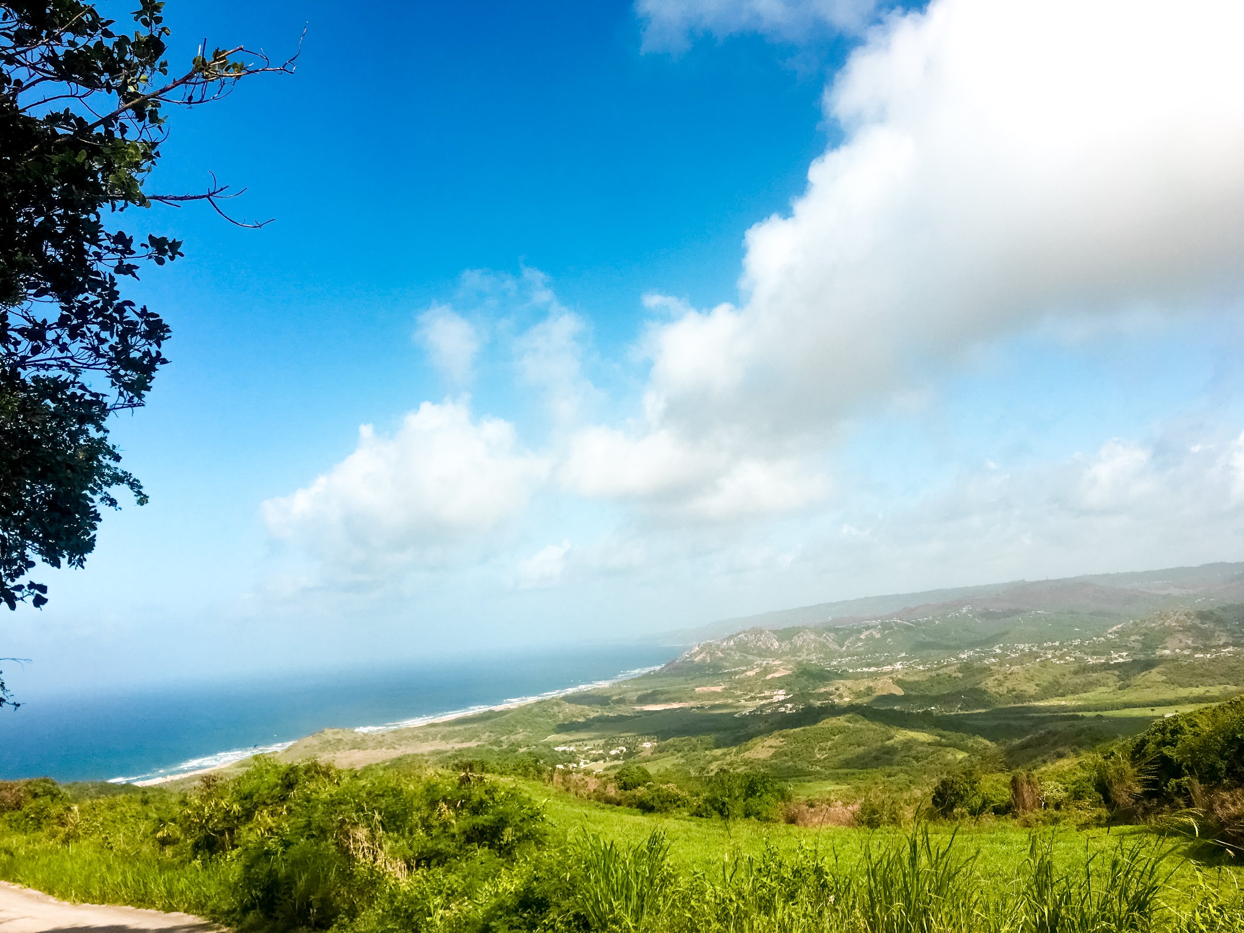 Peaks & Panoramas: Barbados from Up Top