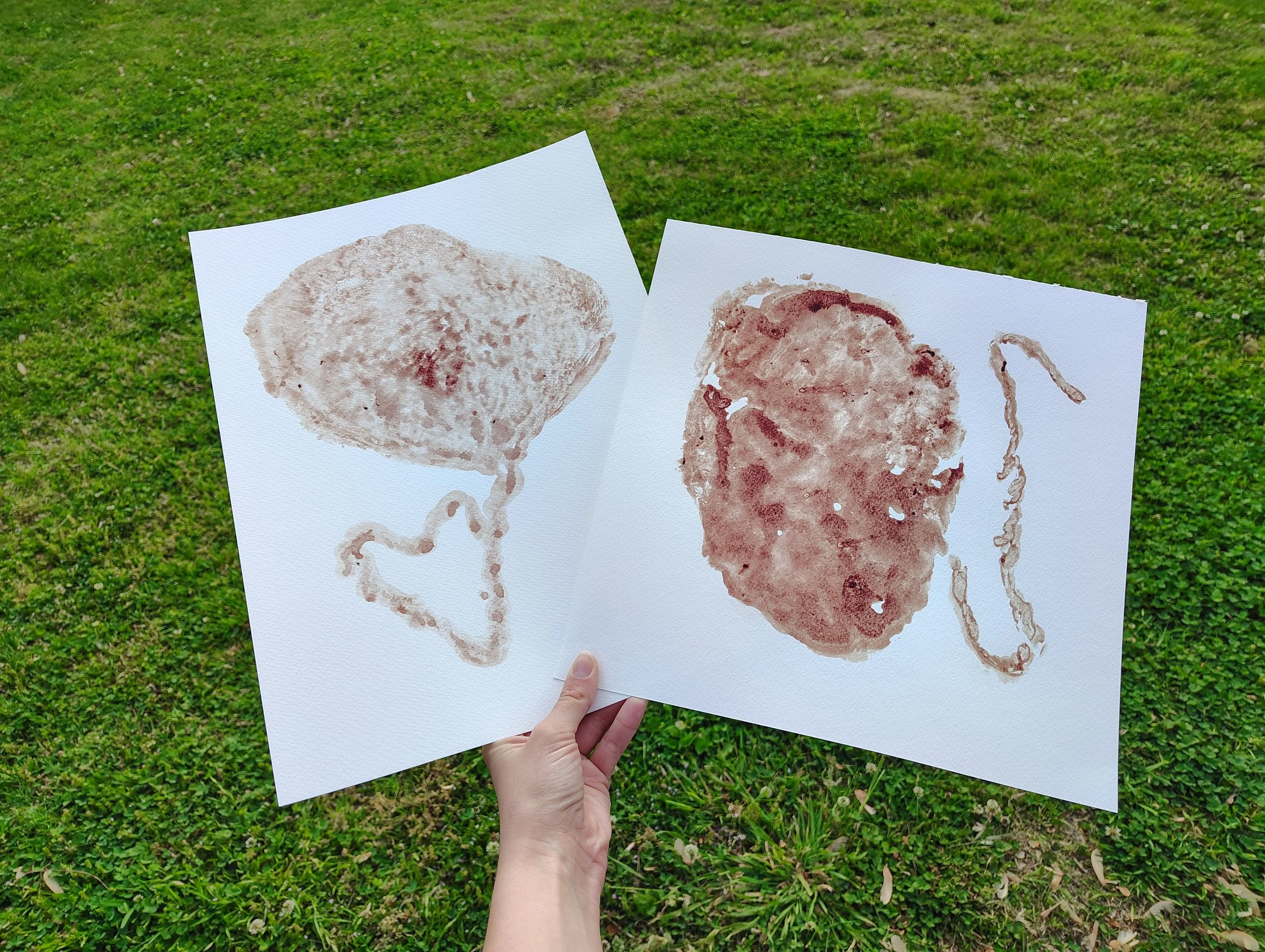 Added Placenta Prints