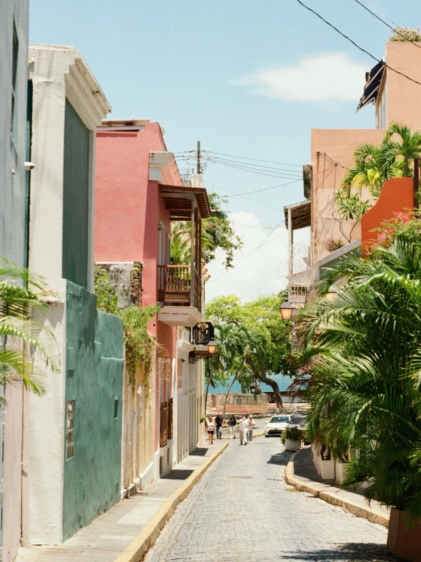 Verticales de PR #film #35mm