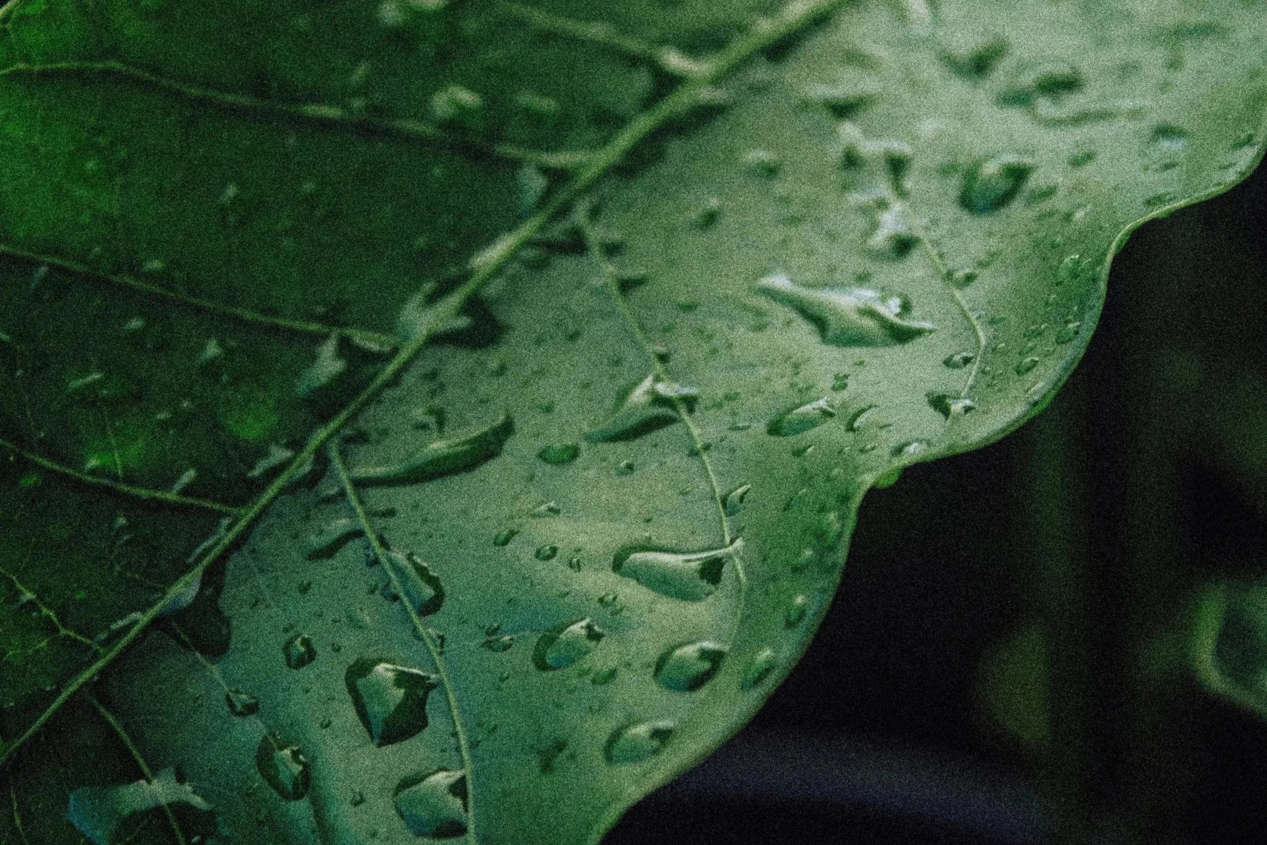 Spa Maintenance Made Simple: Easy Weekly Spa Care Guide