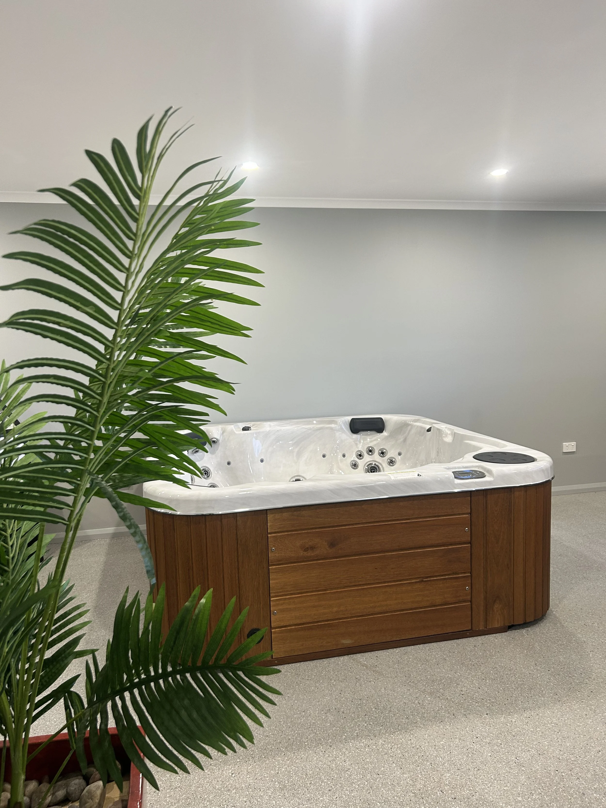 Indoor room featuring a white hot tub with wooden side panels and a potted green plant in the foreground, with gray walls and ceiling lights.