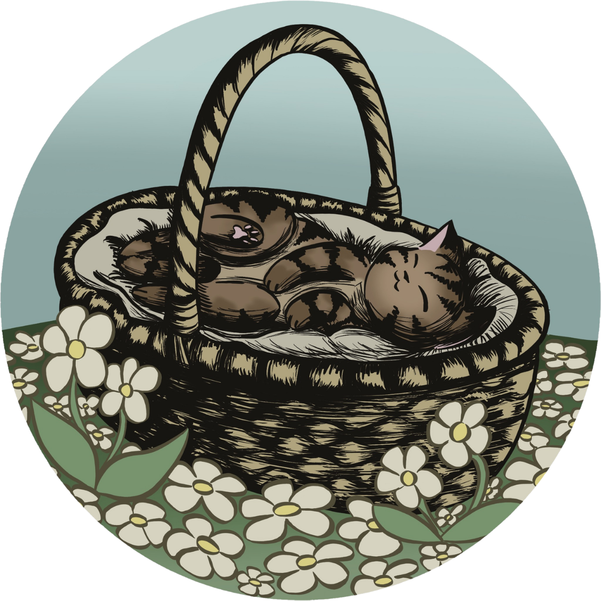 Cat Nap
