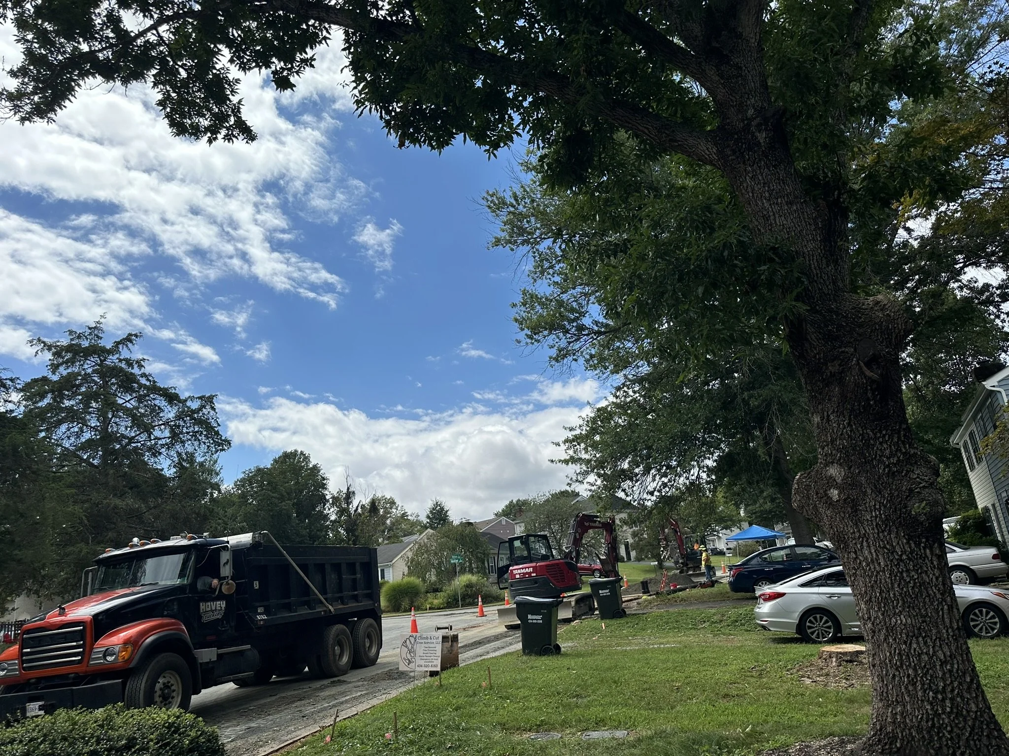 Tree being trimmed or removed on a residential street with construction equipment and a black truck, parked cars, and orange cones near the work zone.