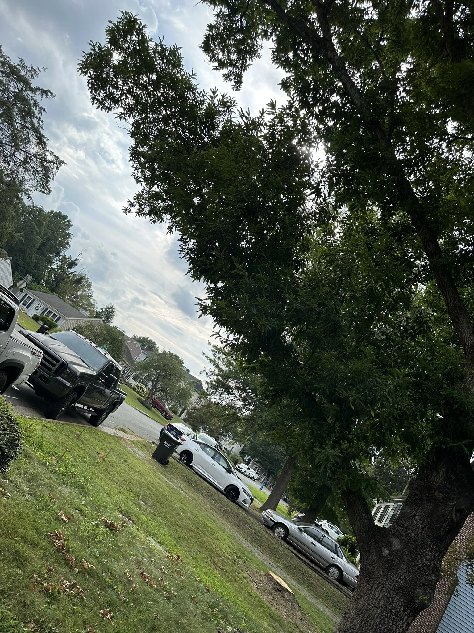 Residential neighborhood with tall trees, multiple parked cars, and a trash bin on the street, under a partly cloudy sky.