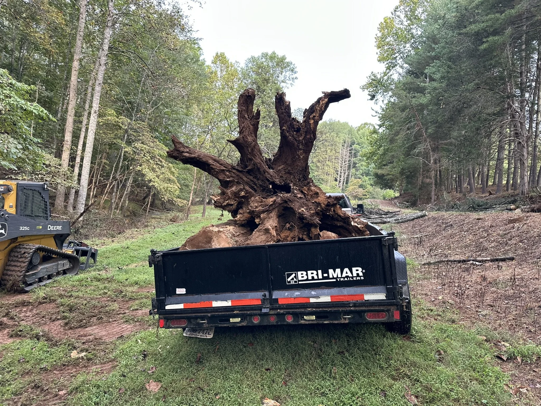 A large uprooted tree is loaded onto a black trailer with the label "BRI-MAR Trailers" in a wooded area, with a small yellow bulldozer nearby.