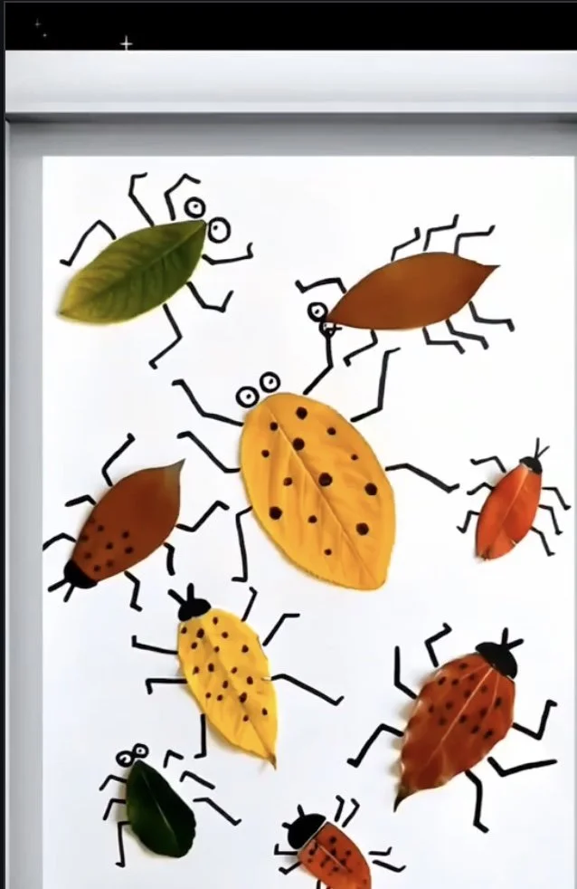 BUGS Sunday Play Date 9/6