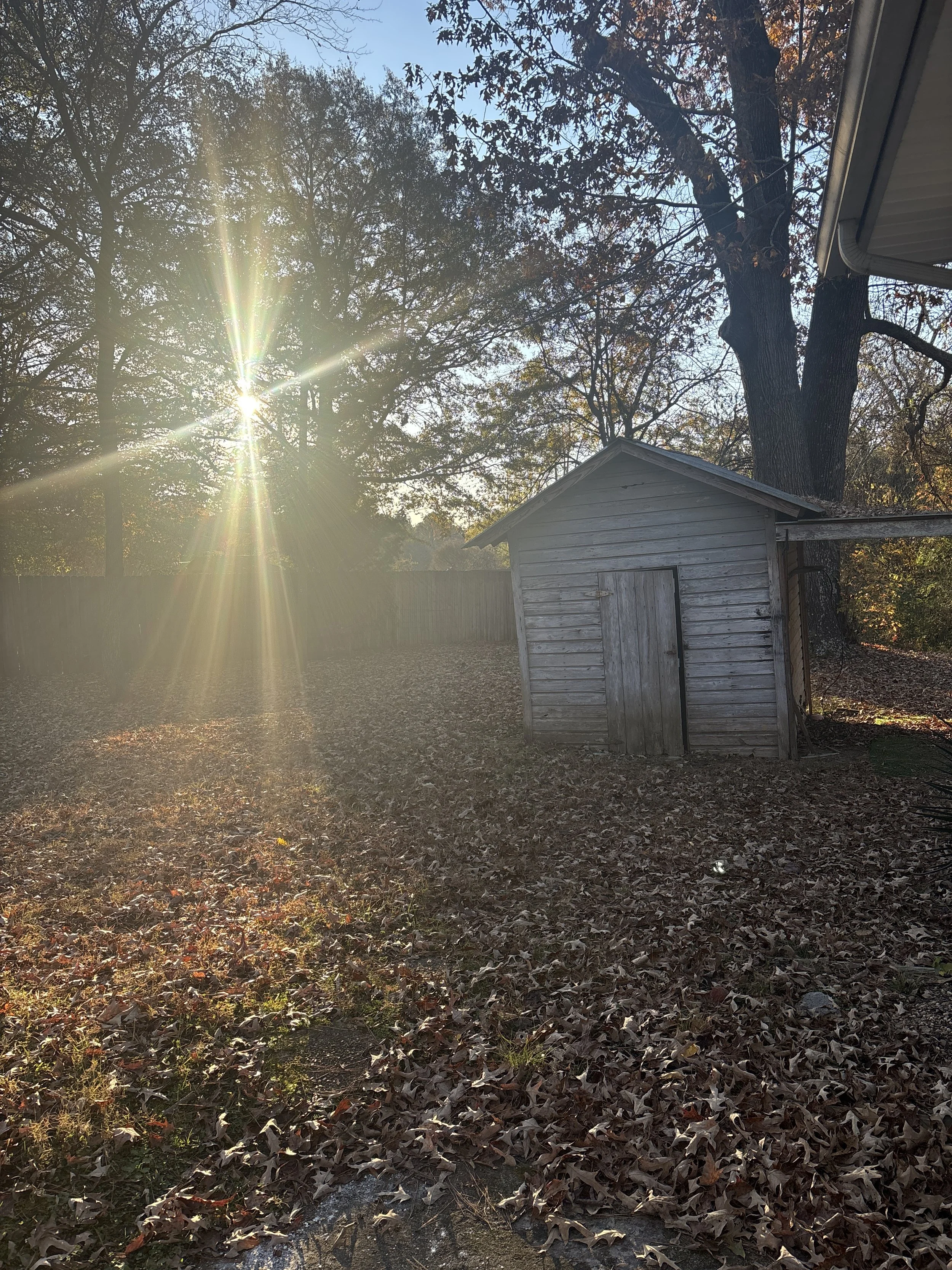 Sunshine Shed.JPG