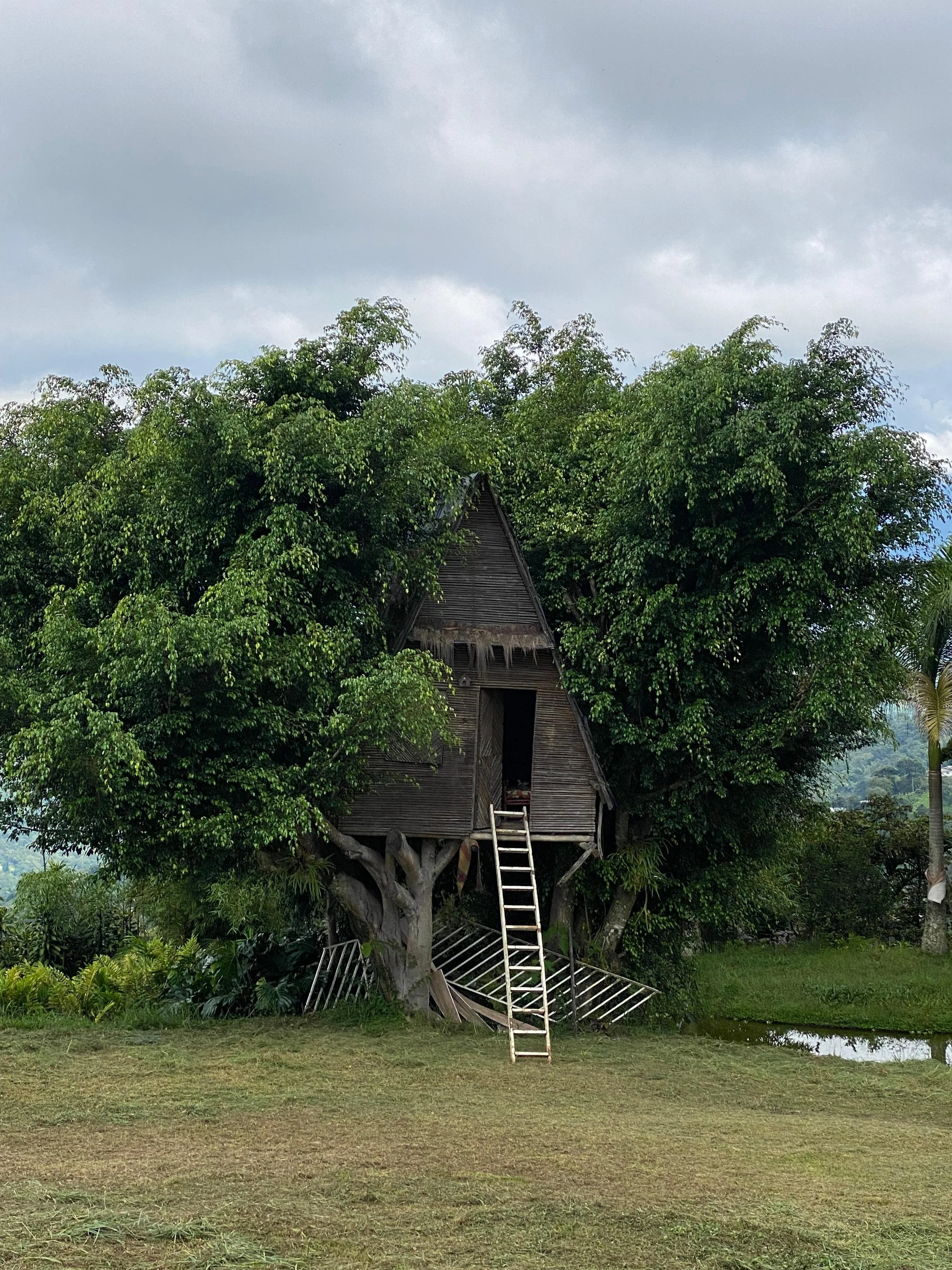 WhatsApp Image 2025-09-15 at 10.26.01 AM.jpeg