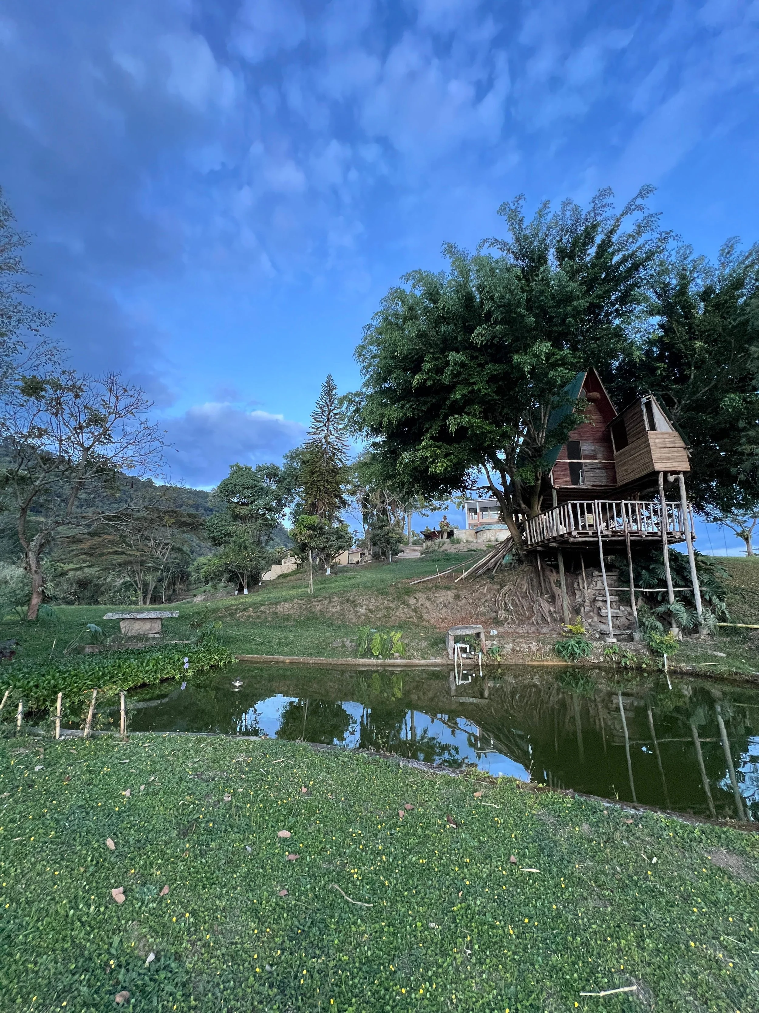 WhatsApp Image 2025-09-15 at 10.26.01 AM (4).jpeg