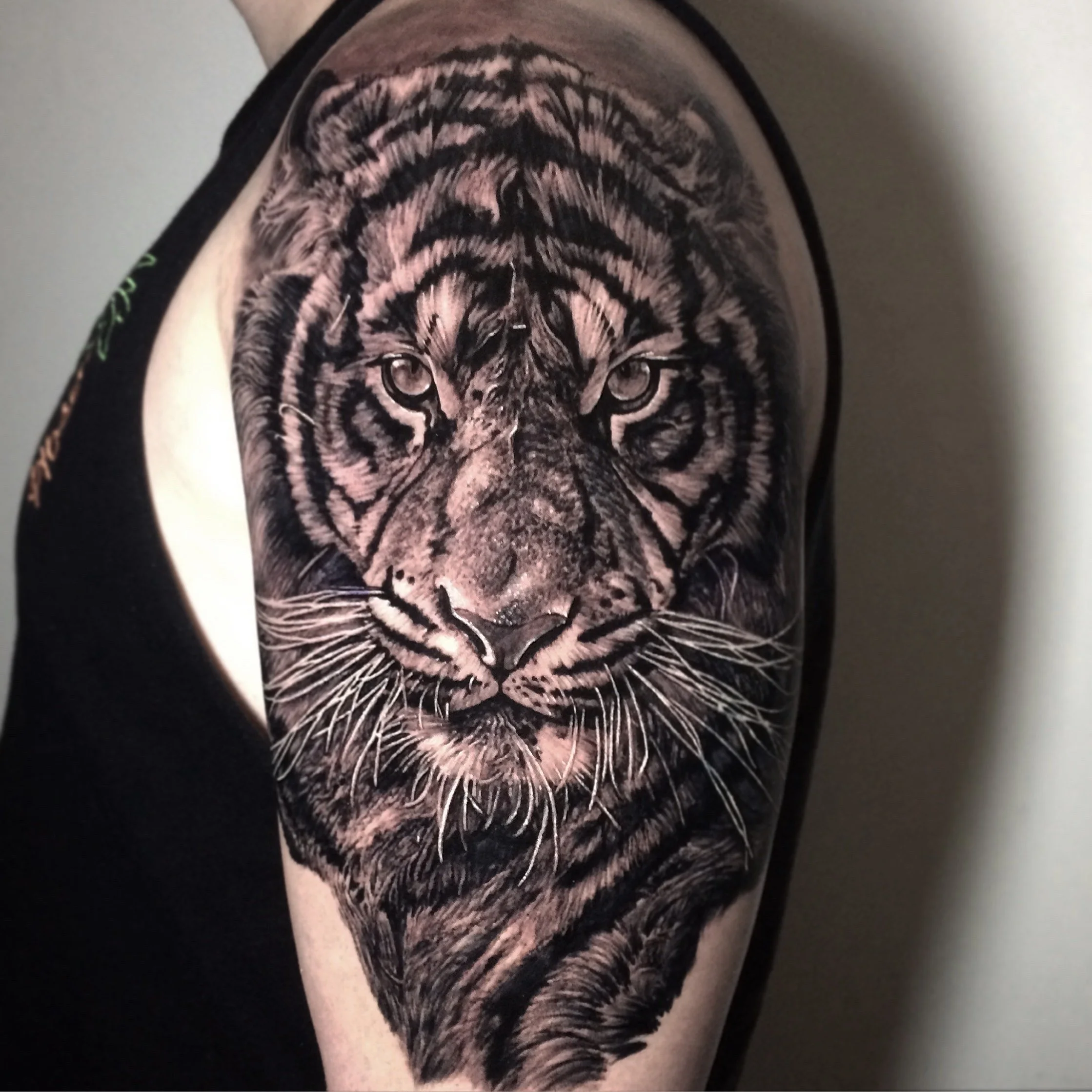 Black and gray tattoo of a tiger's face on a person's upper arm.