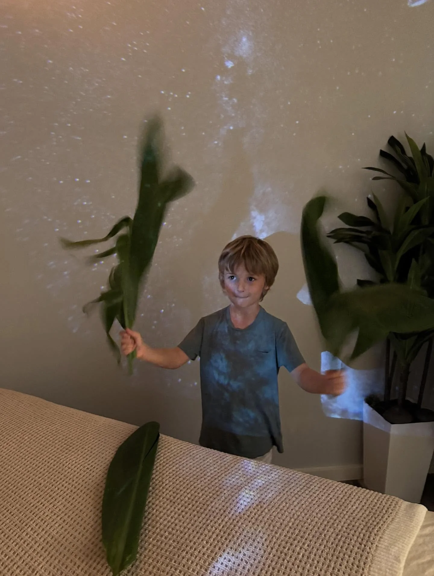 A little cleaning before the guests arrive #littlehelper #mauisanctuary #massagemaui #lomilomi #health #healing