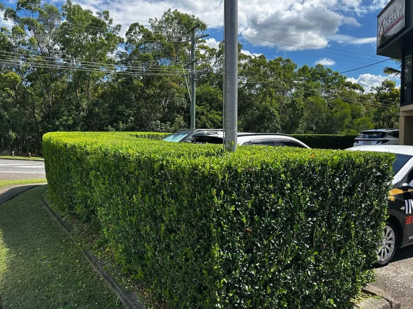 COMMERCIAL MAINTENANCE