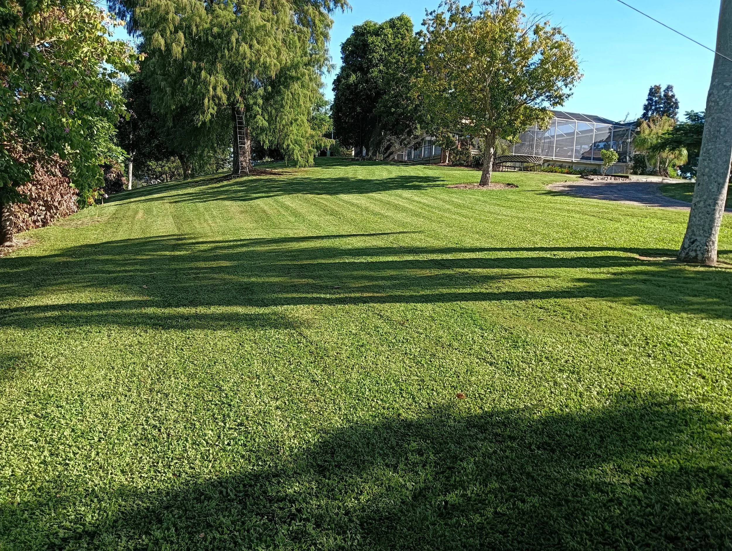 ACREAGE MAINTENANCE
