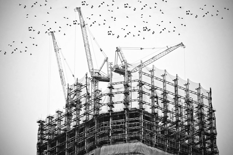 Black and white photo of a high-rise under construction with scaffolding and cranes, and birds flying in the sky above.