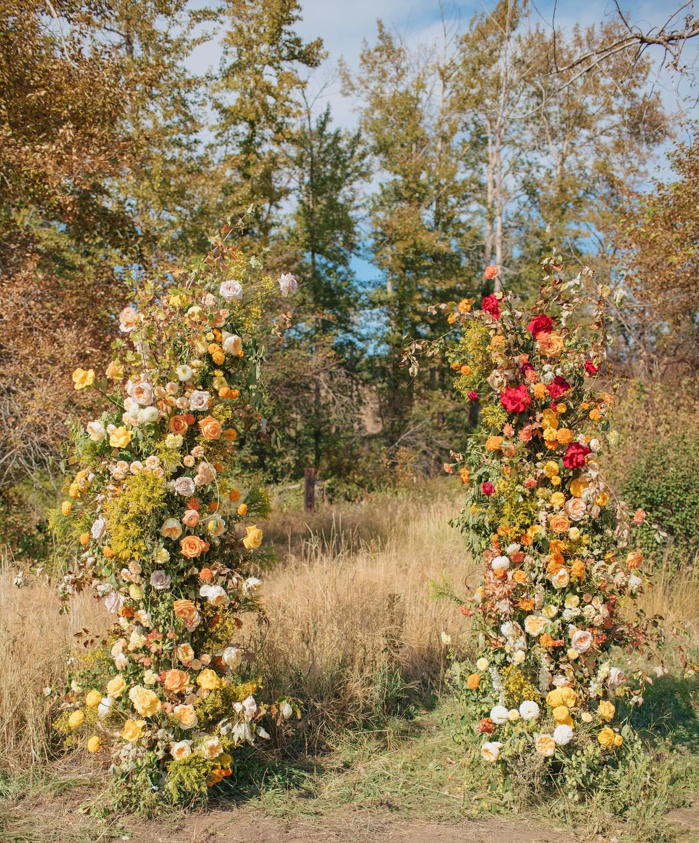 I love making dreams come true&hellip;even my own&hellip;
&hellip;from a beautiful late summer day in my backyard with @queensandmonsters , creating a floral arch using @accentdecorinc Conservatory Collection. ✨