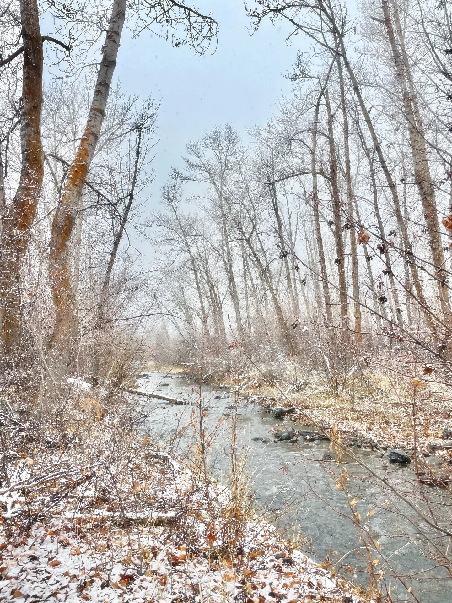We had a bit of snow right before the holiday and can&rsquo;t wait for more! ❄️