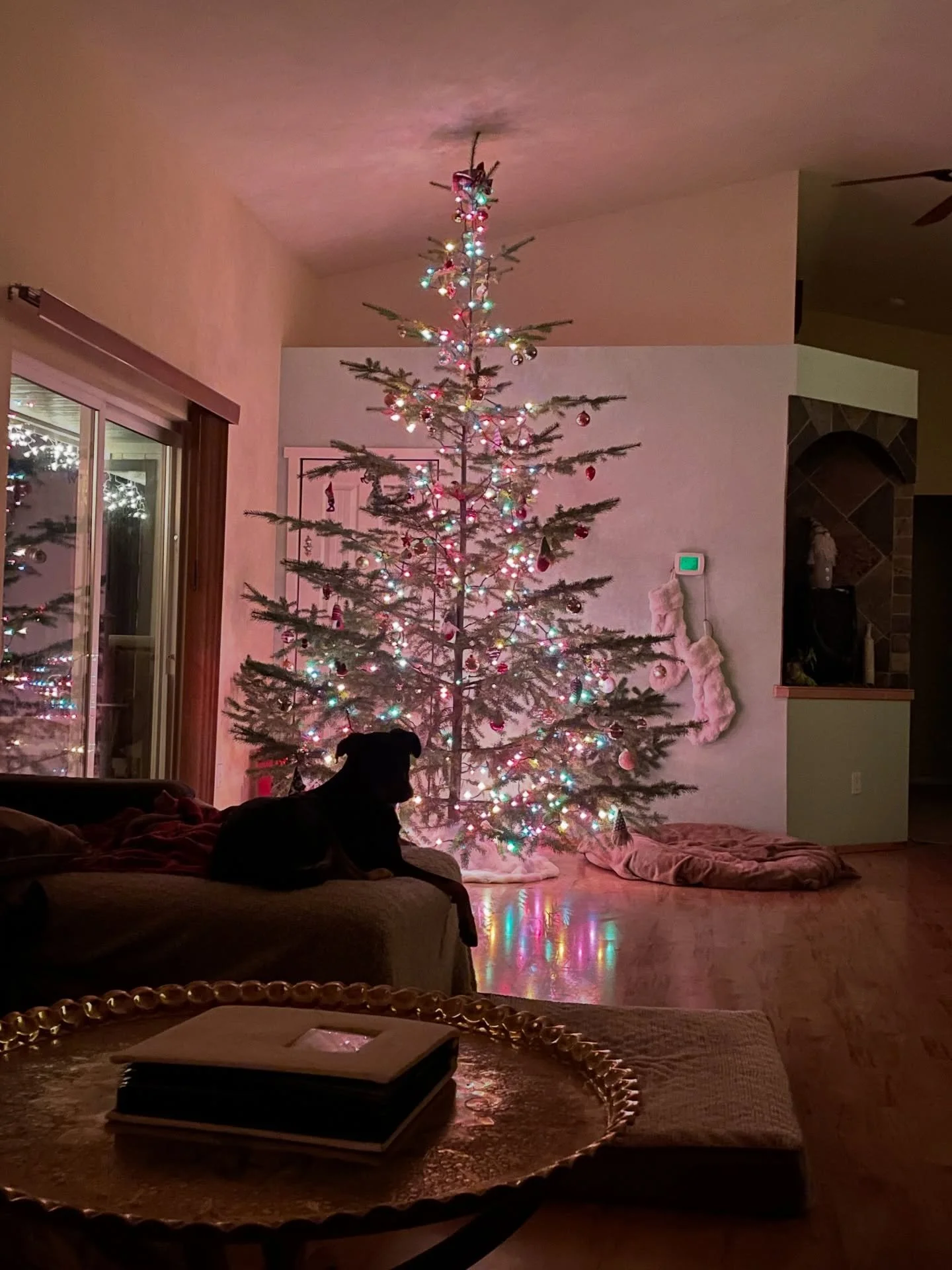 The moonrise last night was spectacular.
I was walking our creekside trail with the dogs &amp; cats, &amp; didn&rsquo;t realize the moon was coming up behind me as we went all the way to our property&rsquo;s end, turned around &amp; made our way back