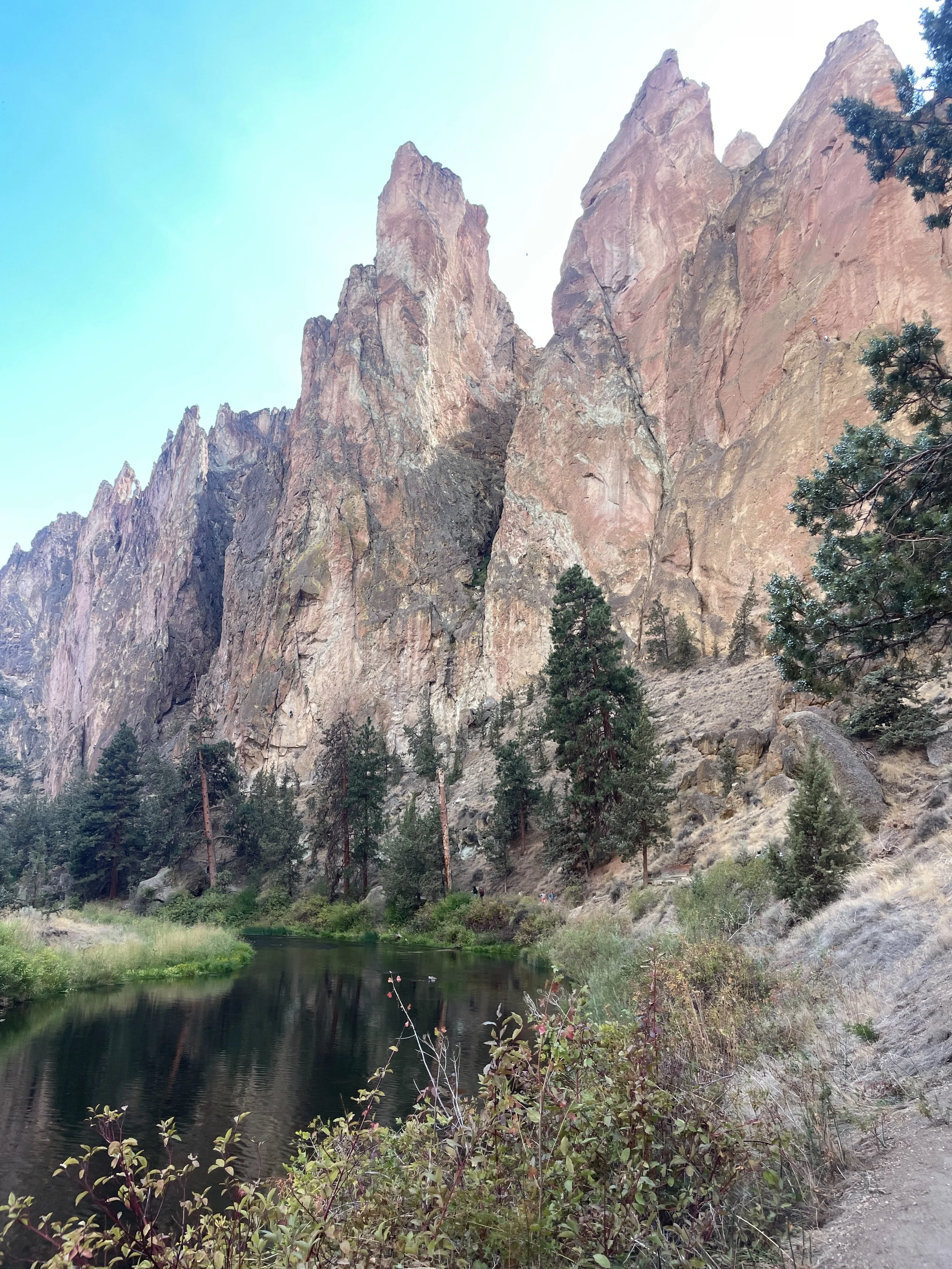 R&amp;S is out of the studio this week. Stay tuned for more American beauty&hellip;