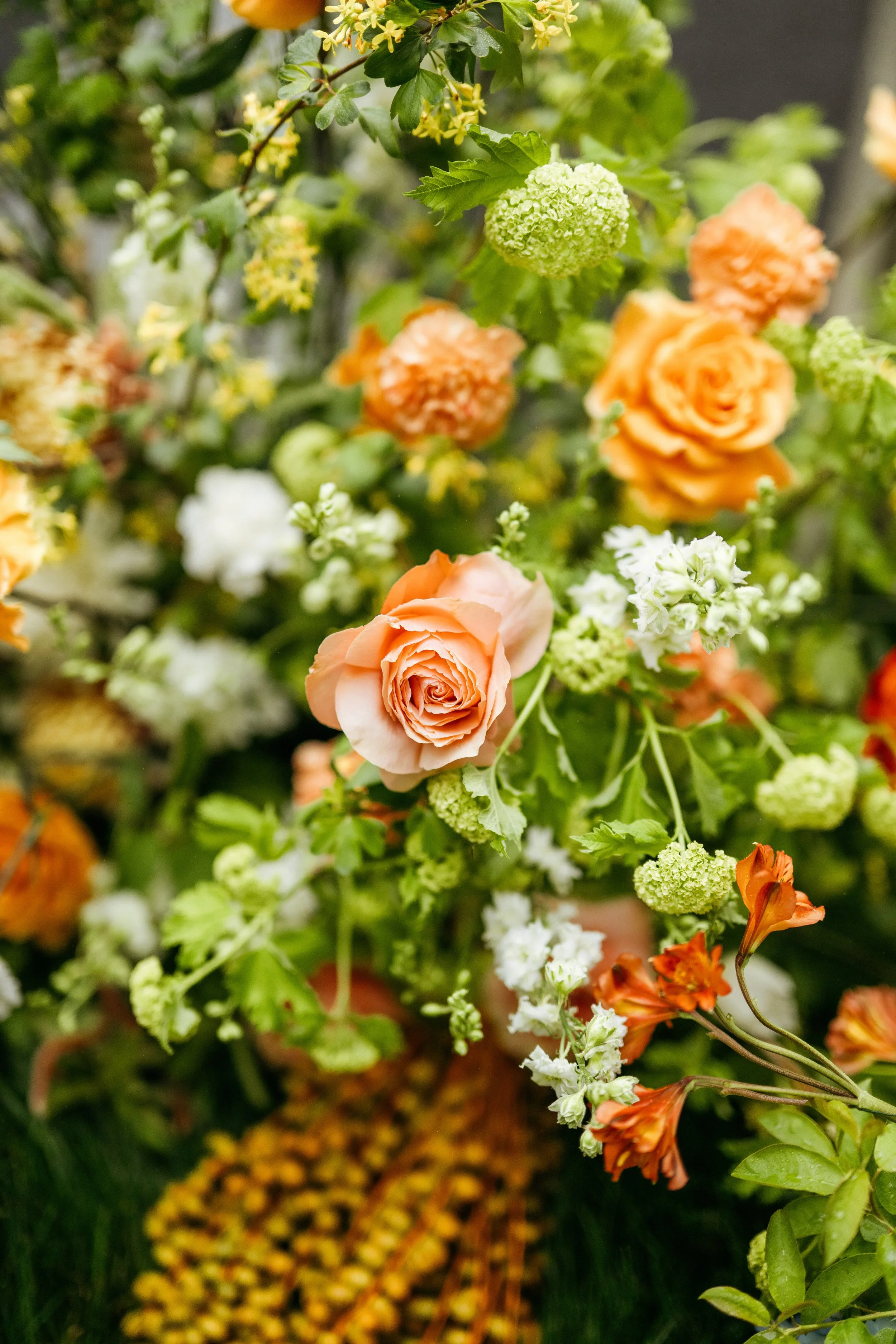 washingtonweddingday04222026-27.jpg