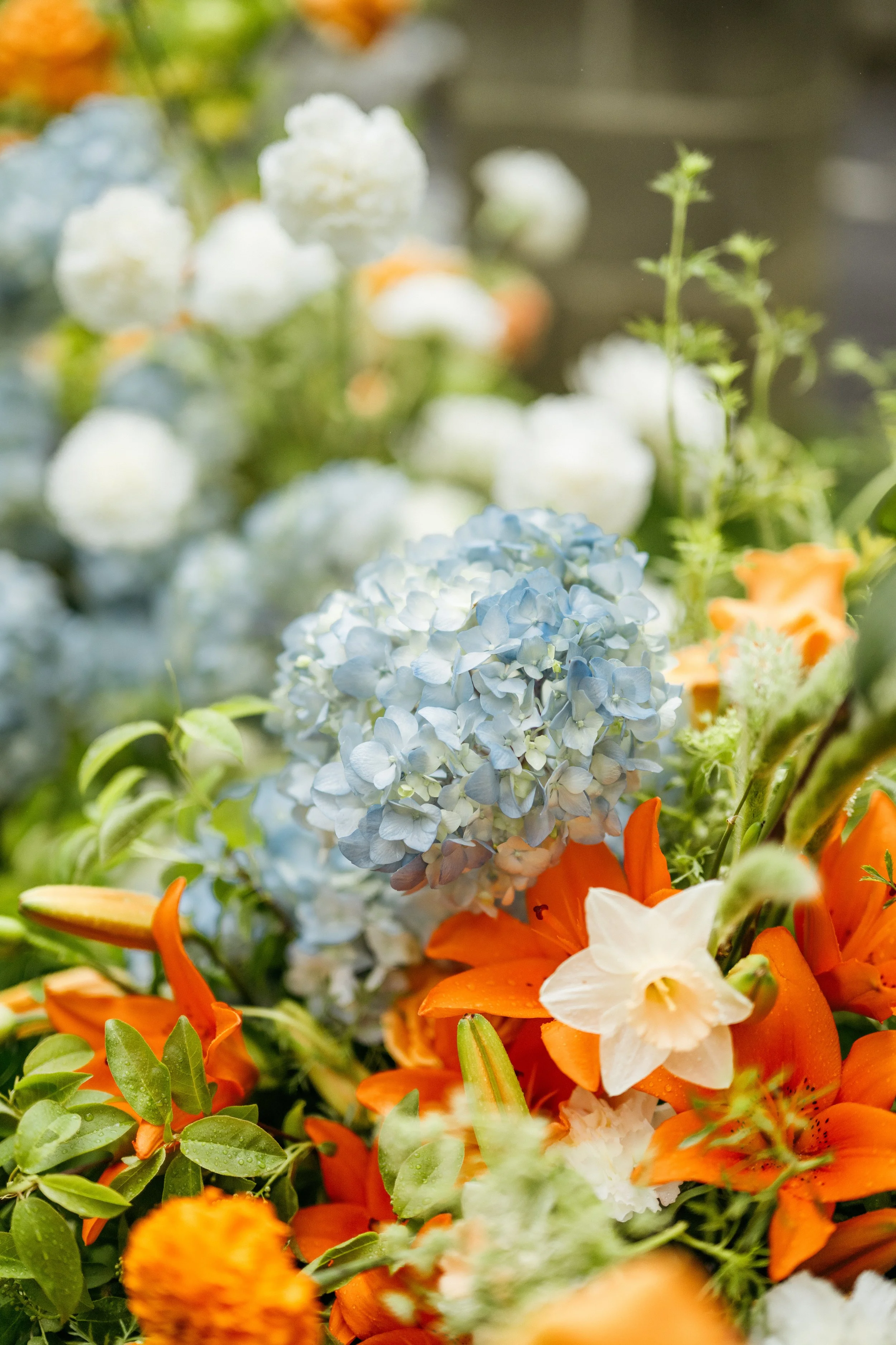 washingtonweddingday04222026-26.jpg
