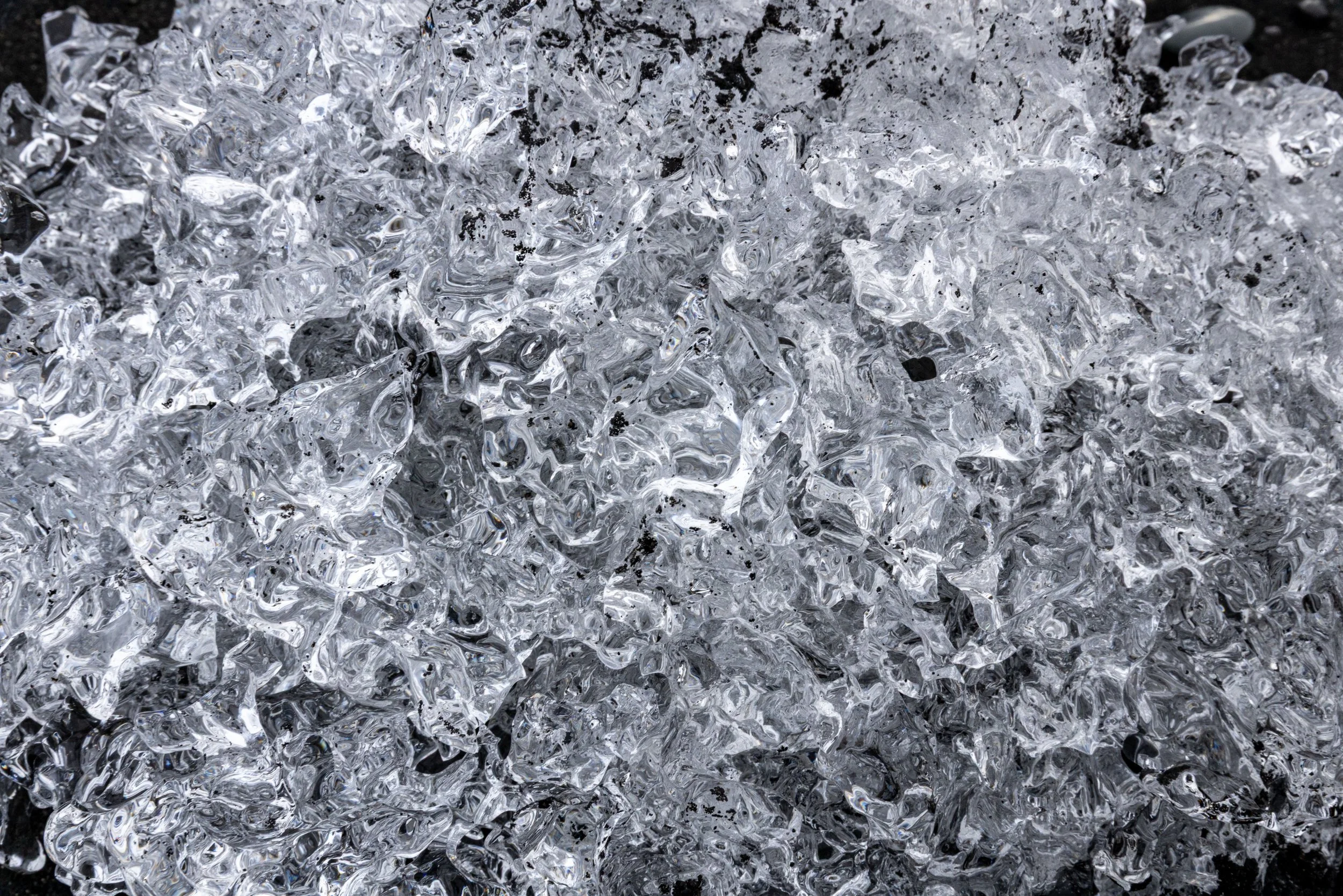 611A9545.jpg