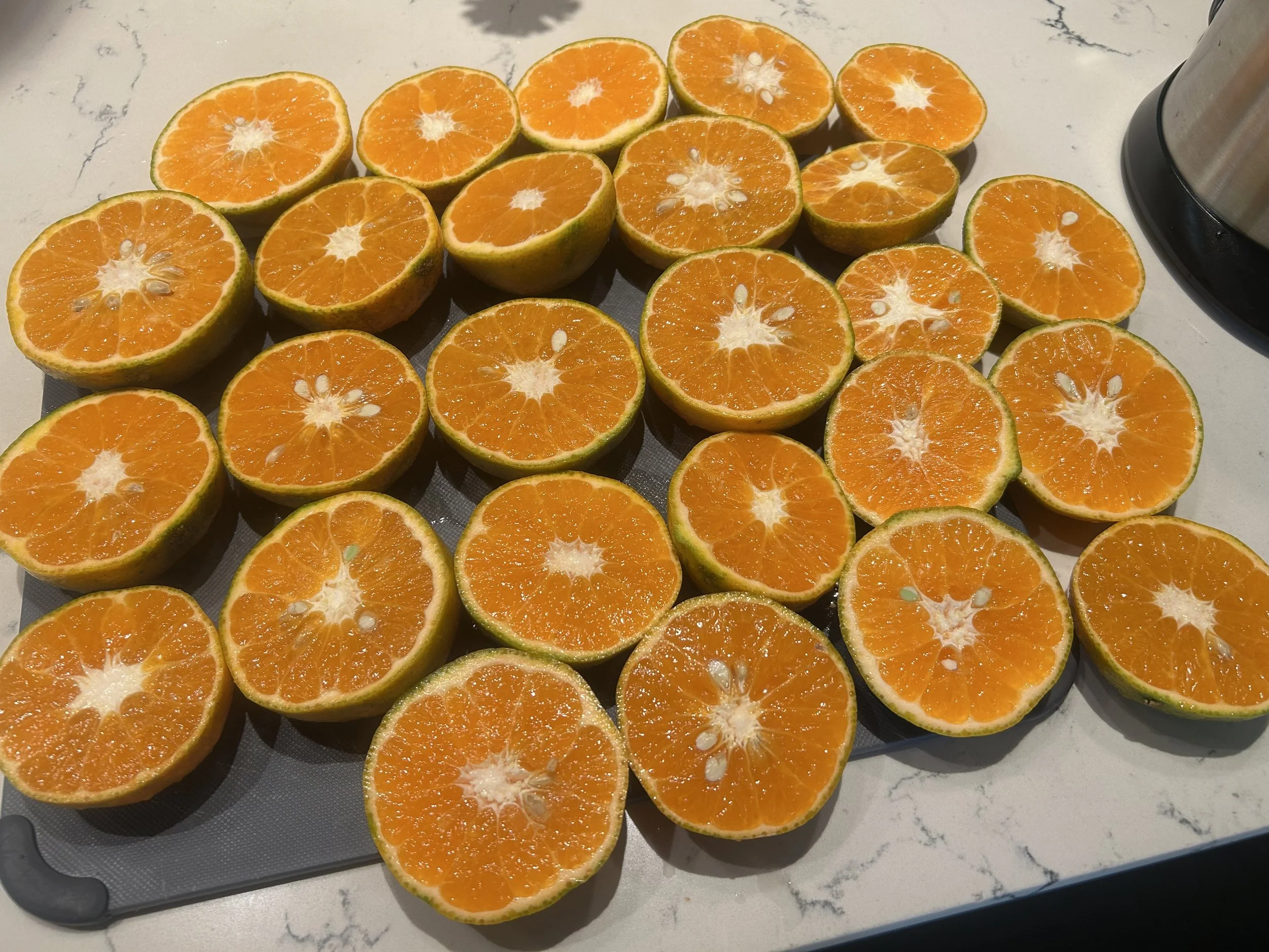 “Orange Citrus Juice