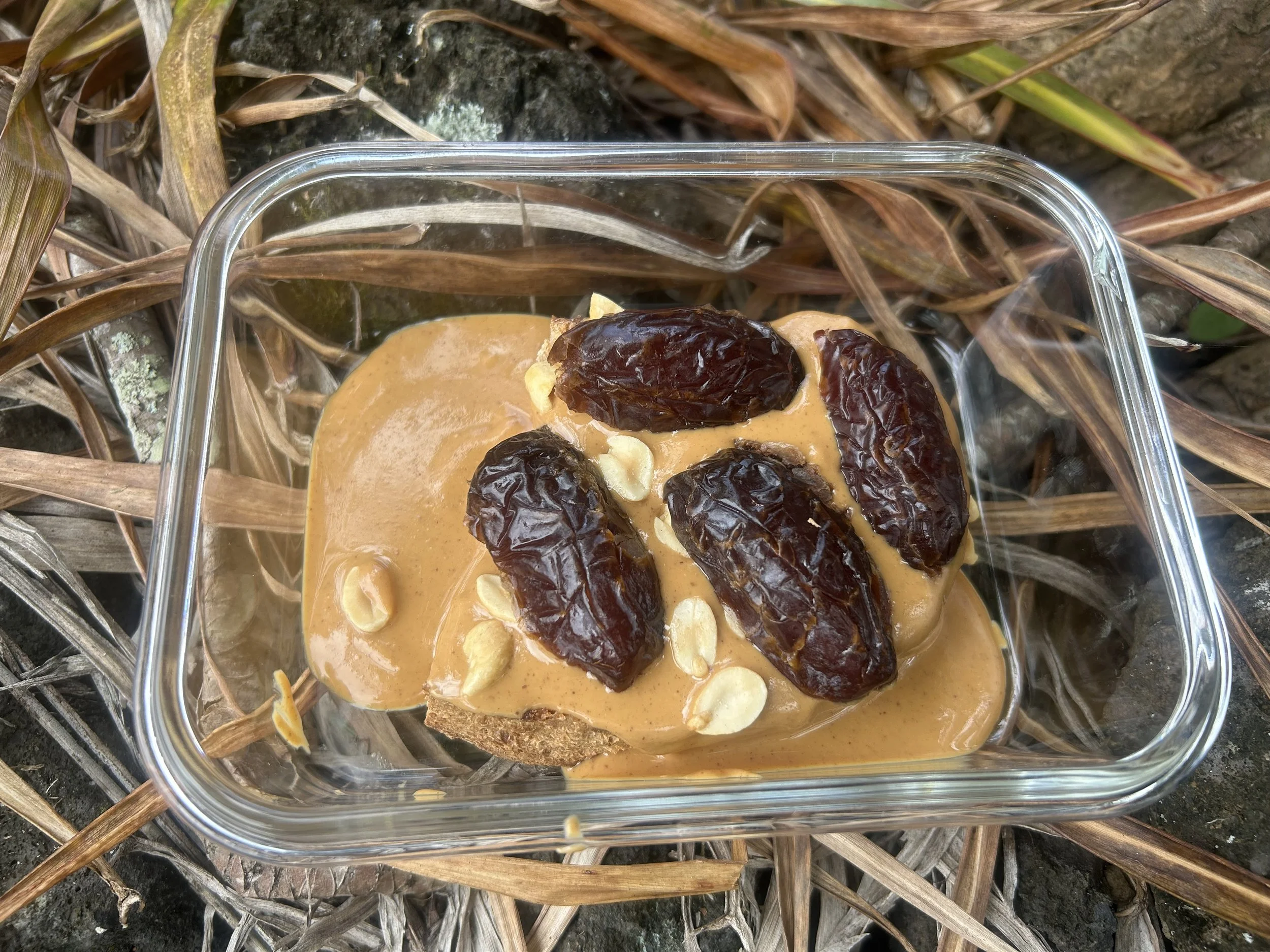 My Peanut Butter Sandwich