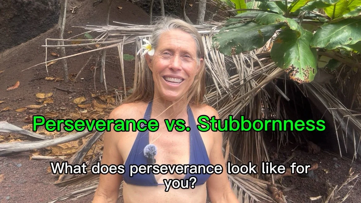 Perseverance vs. Stubbornness 