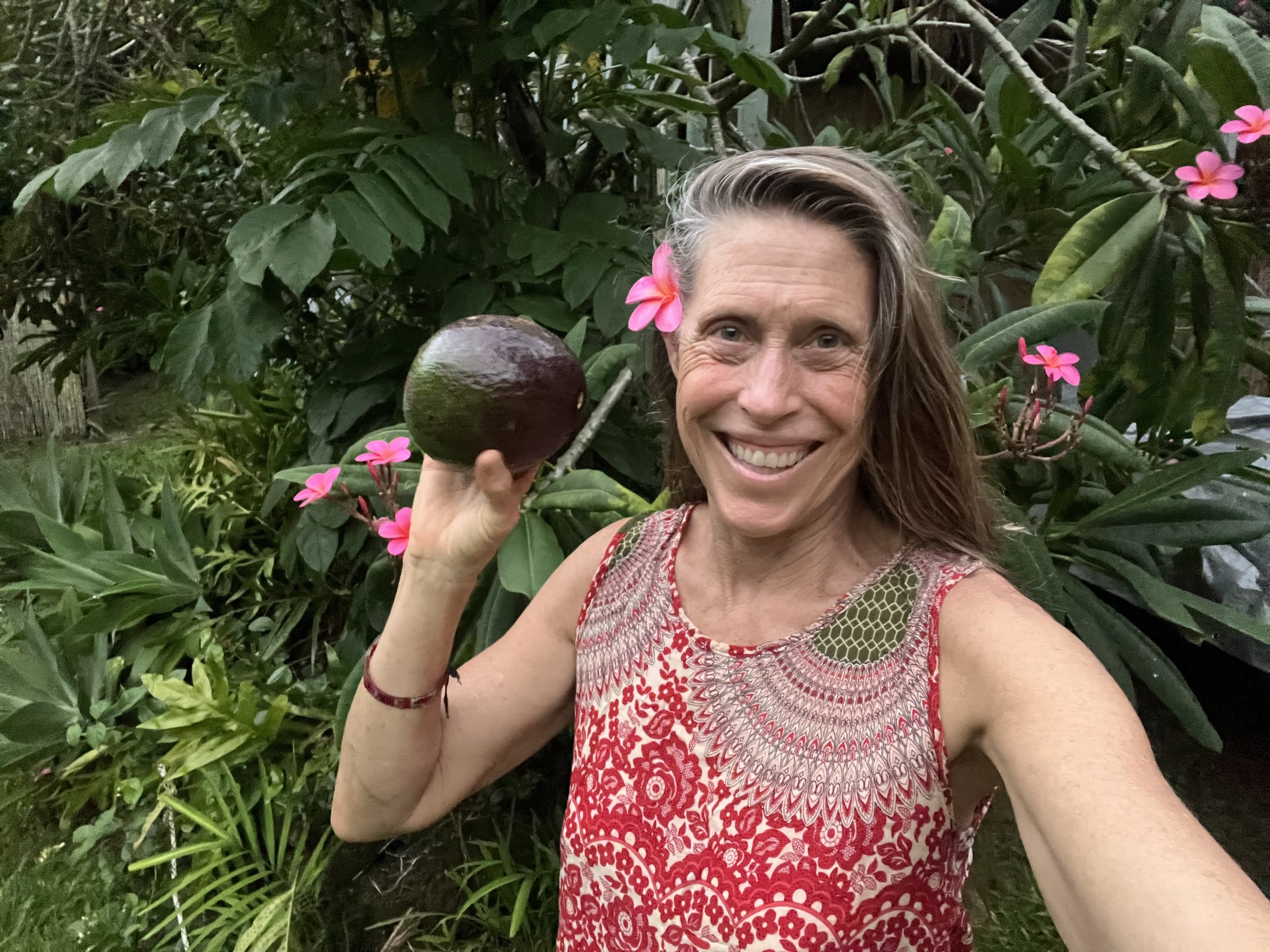 Avocado - A Nutrient Dense Food 