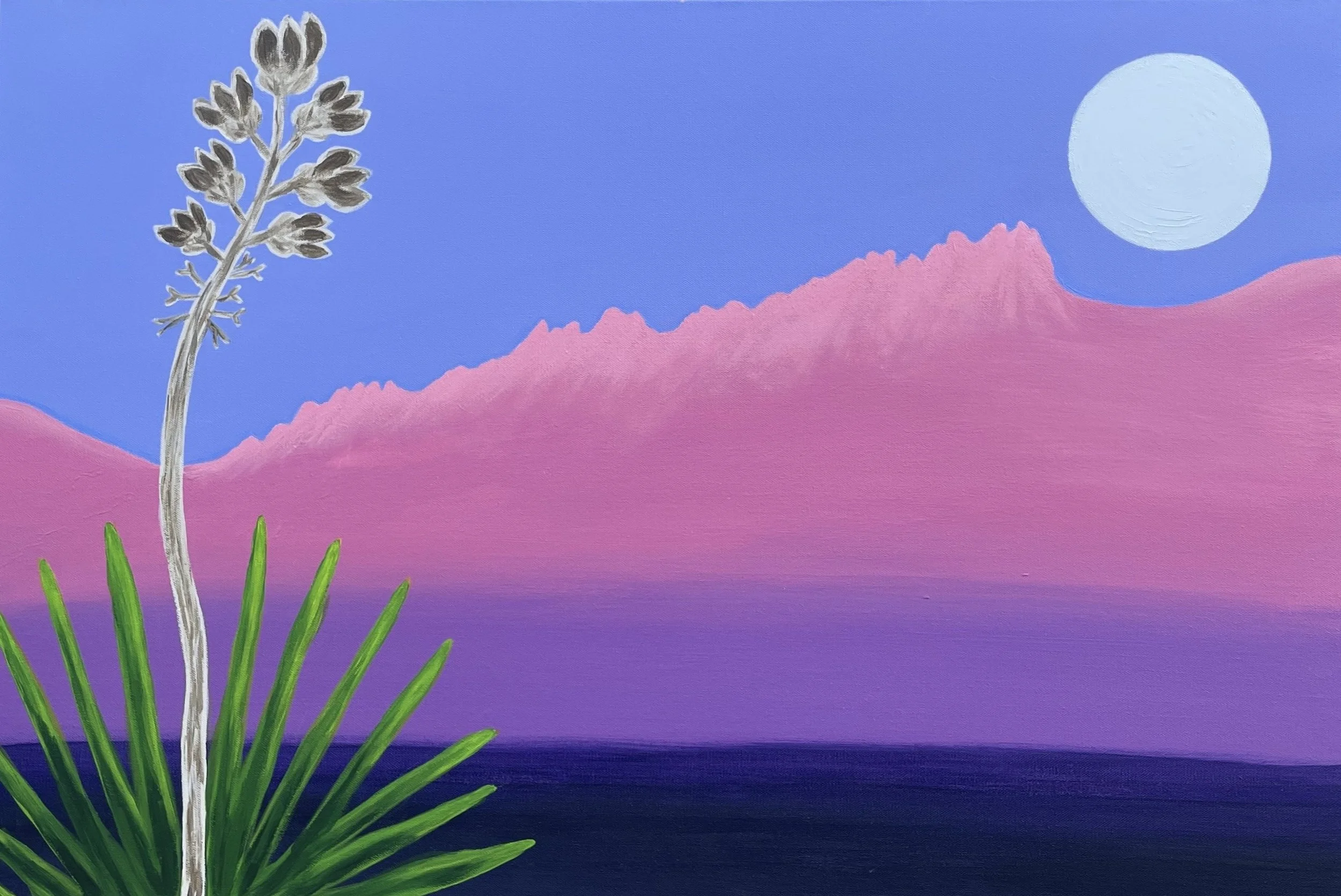 “Encantamiento” (2024) [24” x 36” x 1.5”].jpg