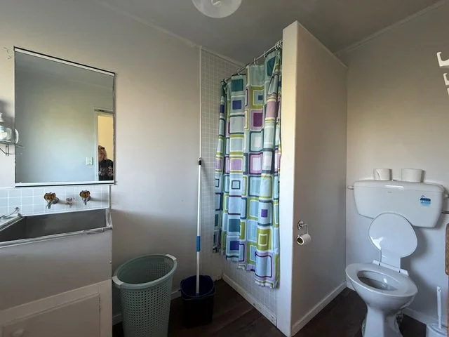 downstairs bathroom and laundry