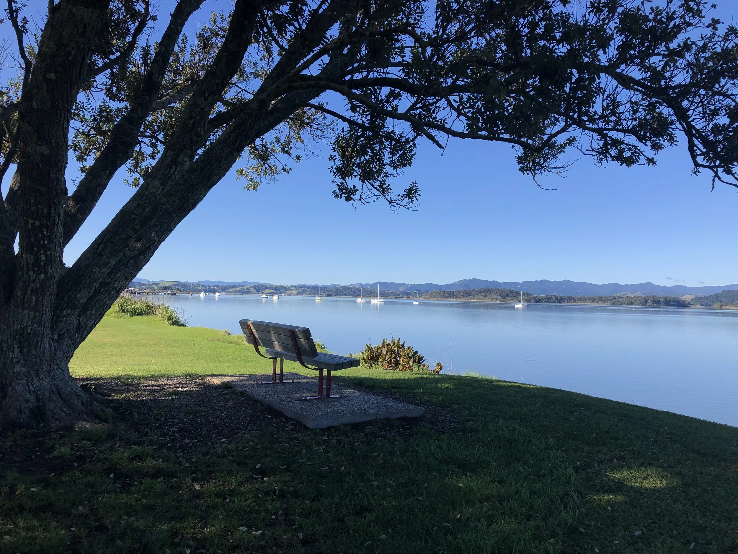 Ohiwa Harbour & reserve