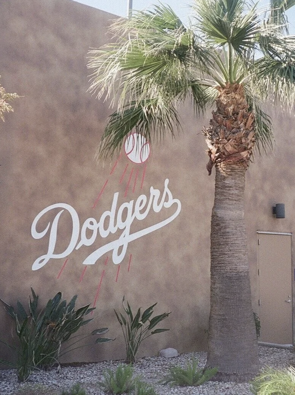 LA Dodger Spring Training 2020