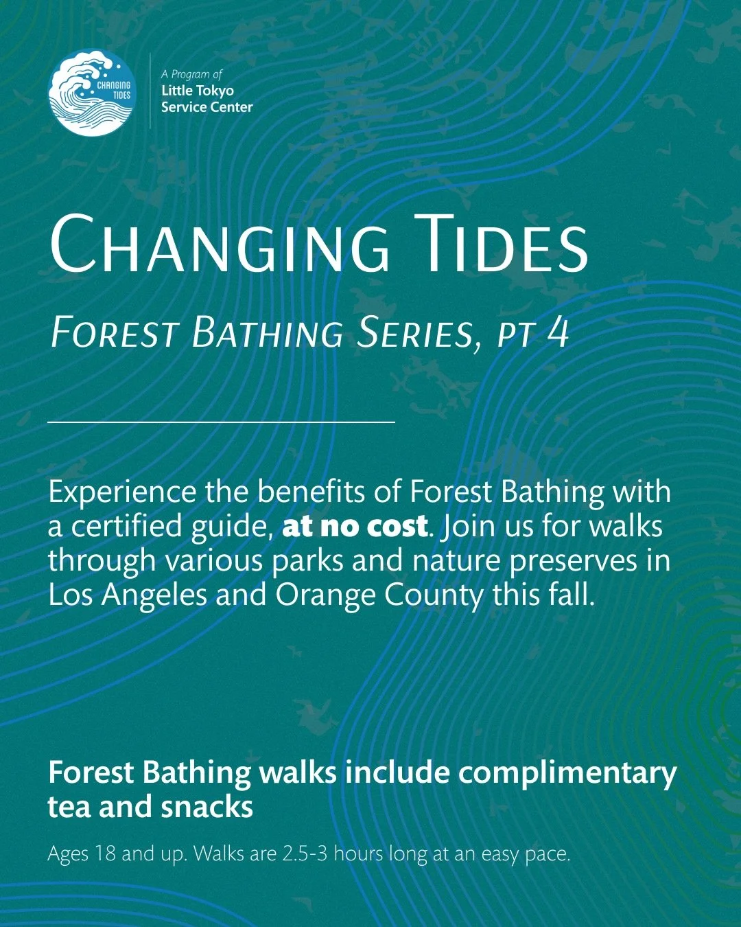 We are back with more Forest Bathing 🌳🛁 

These are monthly, FREE opportunities to slow down and center yourself in nature. 

You can register at the link 🔗 in our bio!