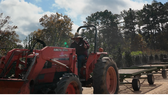 Moving Plants the Right Way