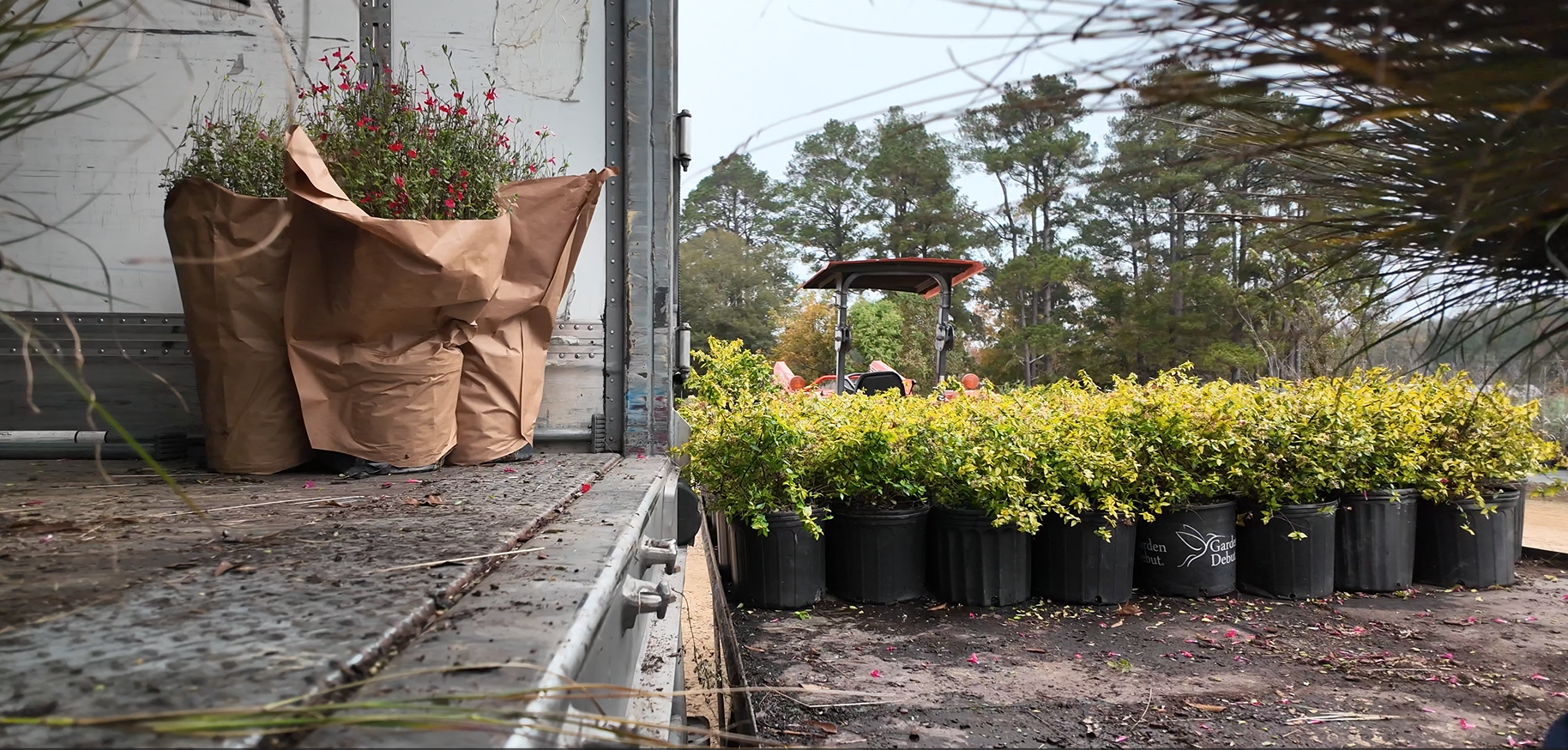 Preparing Plants for Spring Projects