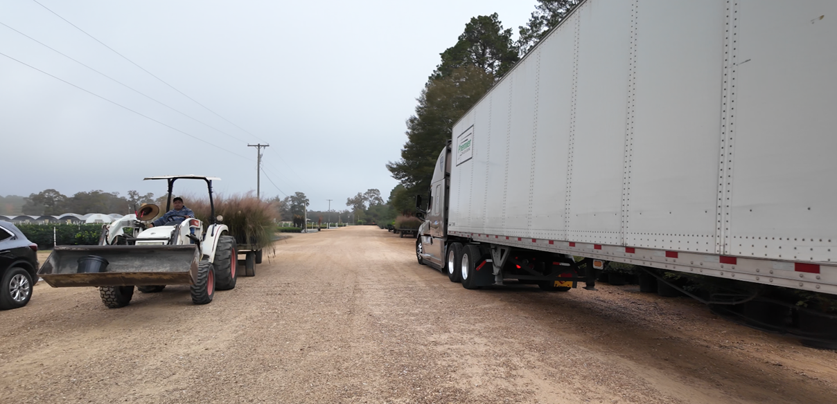 Consistency in Plant Movement and Handling