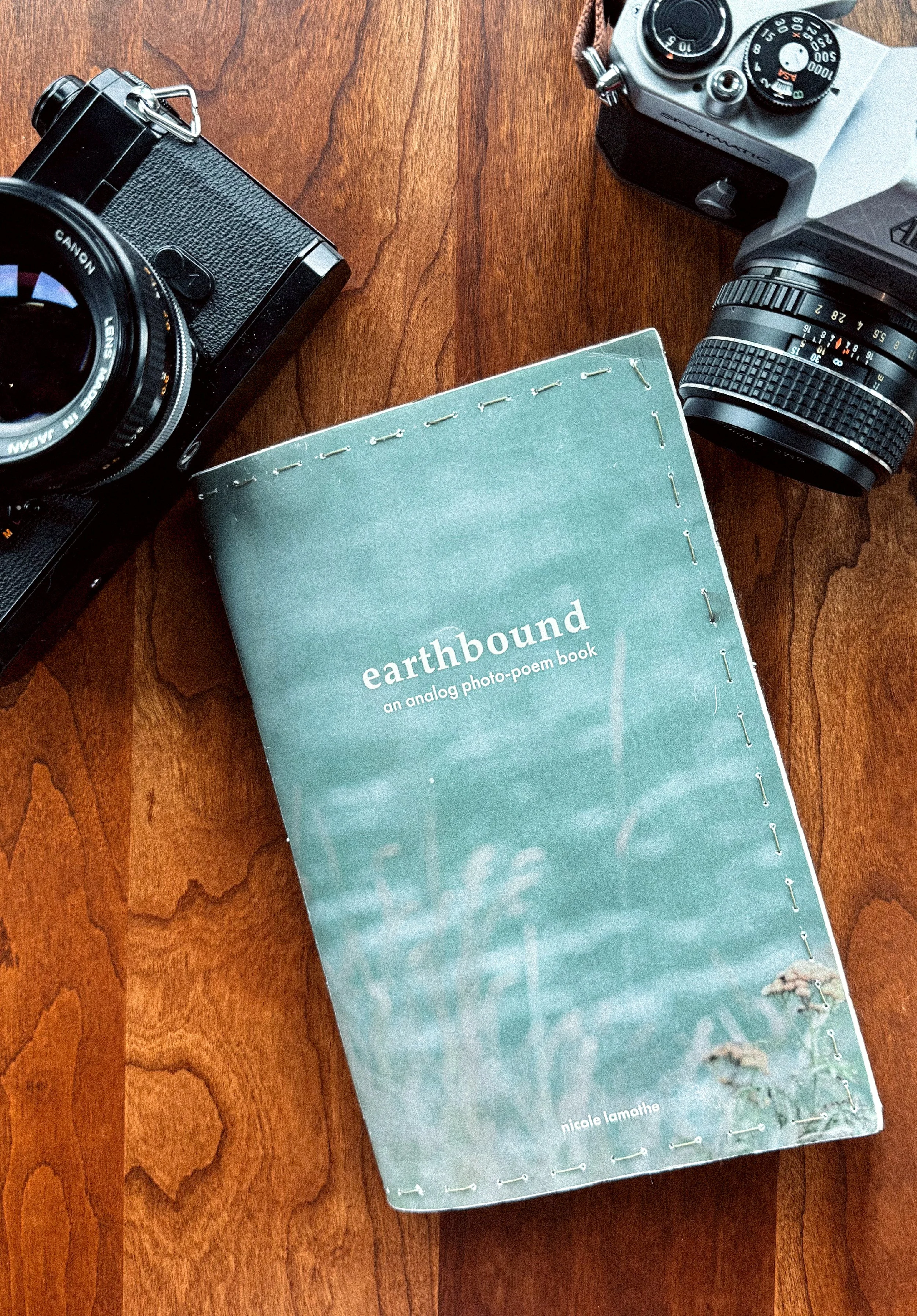 Capstone_Earthbound_Pages-01.jpg