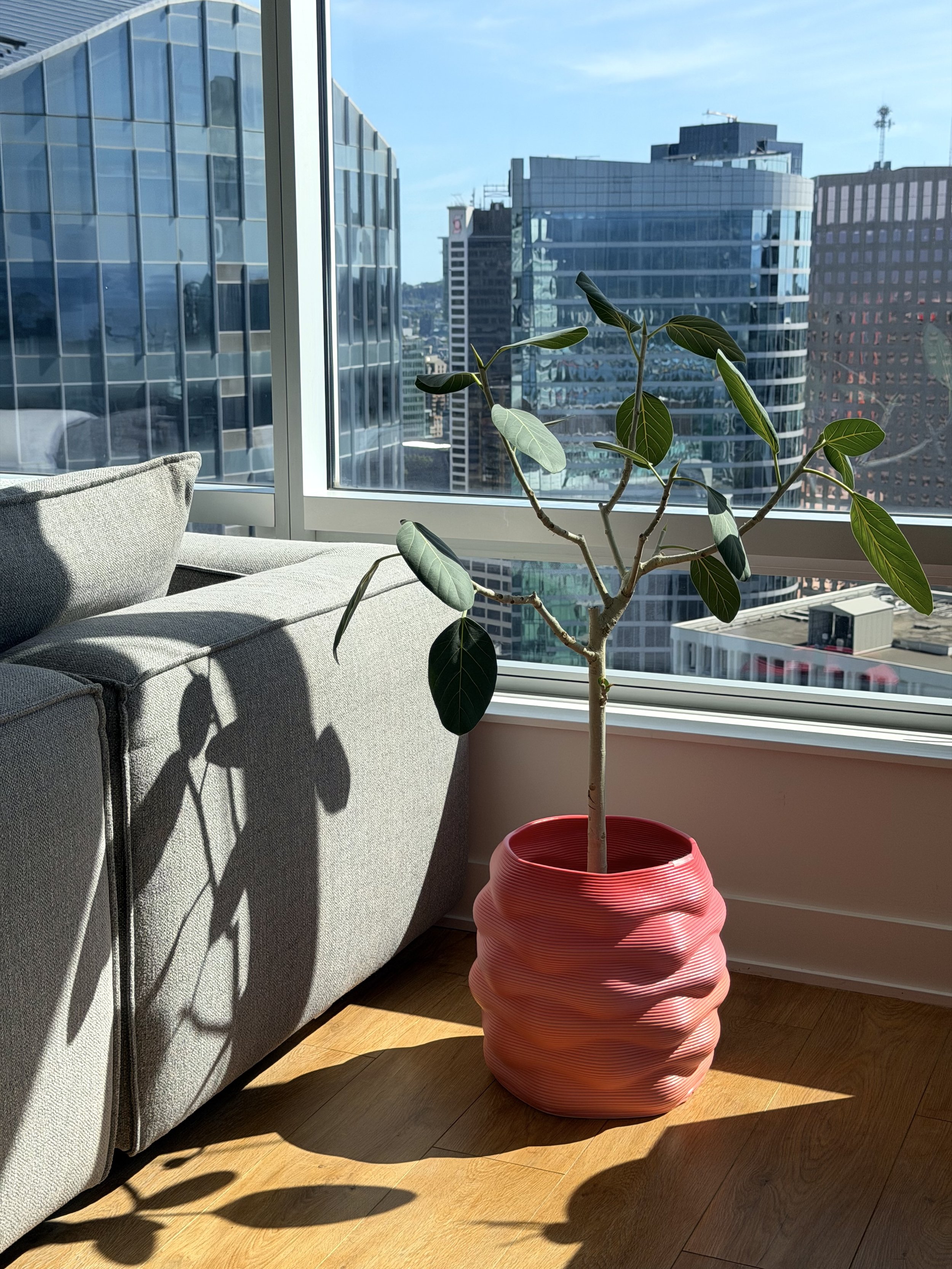 Cloudburst Planter Web.jpeg