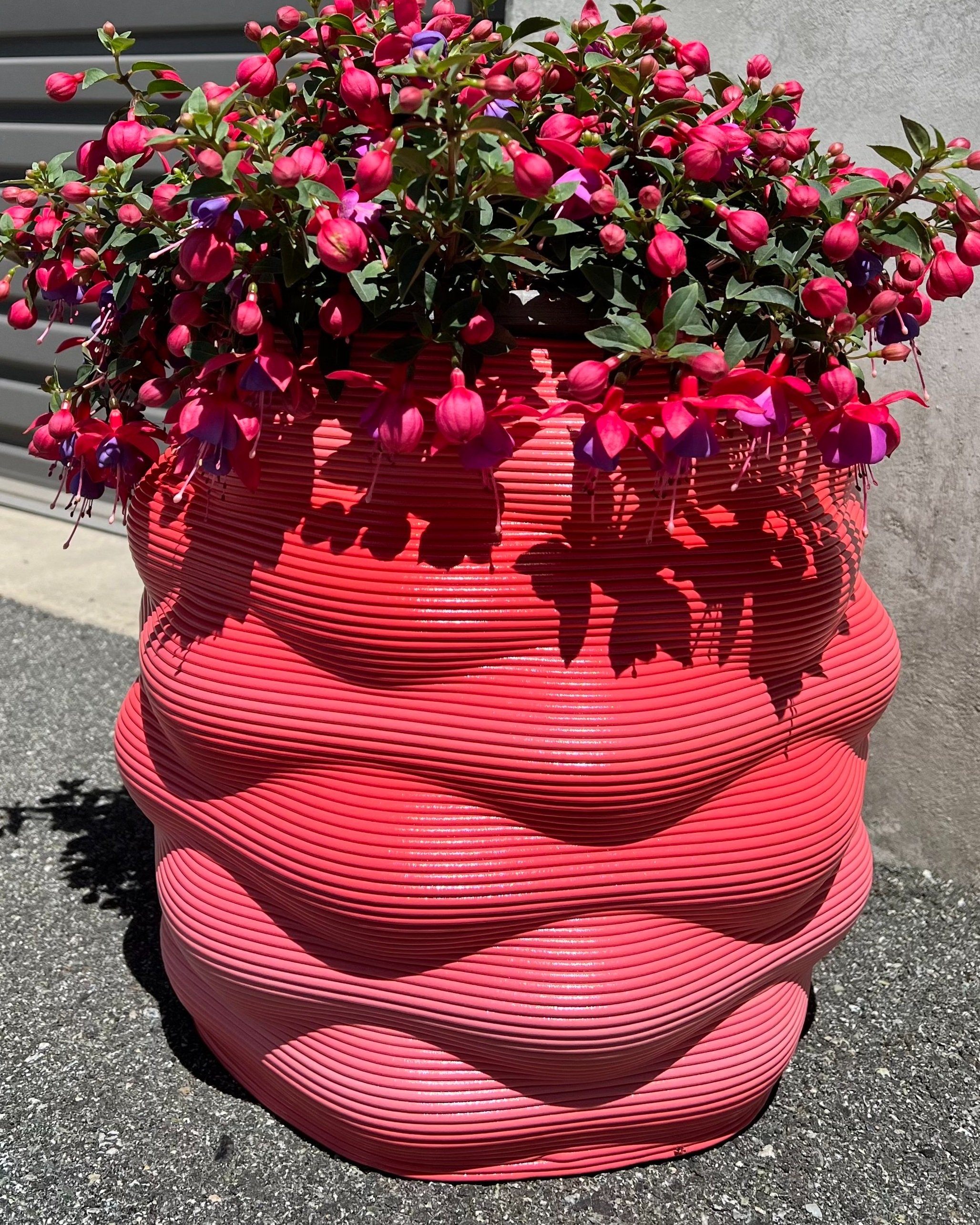 Cloudburst Planter - Raspberry