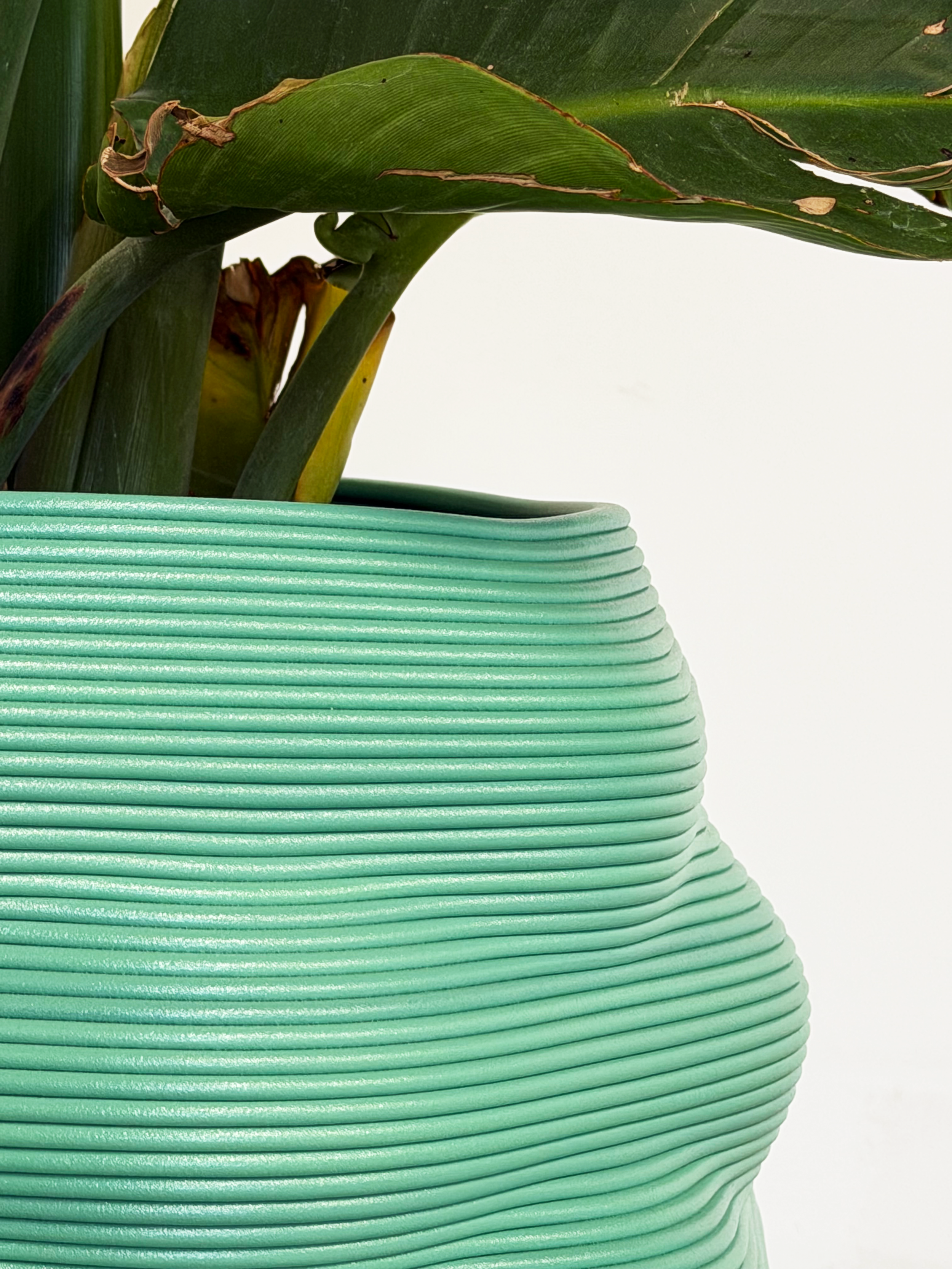 Cloudburst Small Seafoam 3.png (Copy)