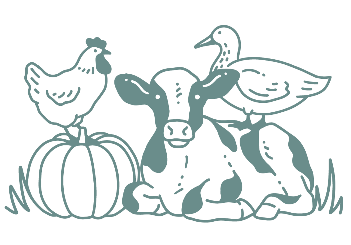 Line drawing of a farm scene with a sitting cow, a hen standing on a pumpkin on the left, and two ducks perched on the cow's back, surrounded by grass.
